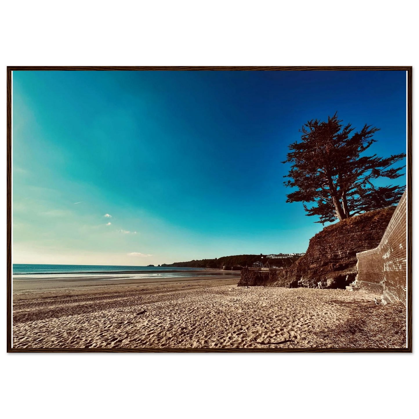 00779cea-5ab8-4ad7-a6e2-ae781ecbb556