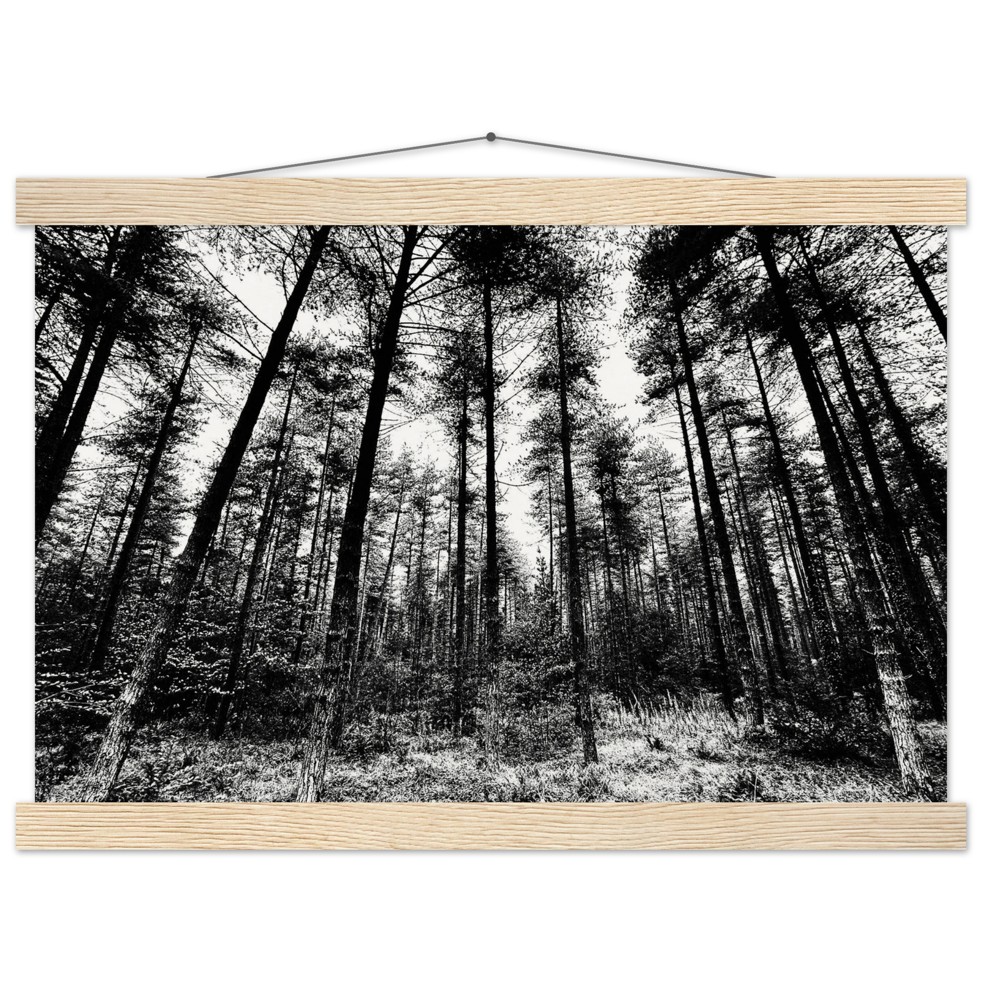 010875aa-0c53-4924-ba59-b0c351b35de8