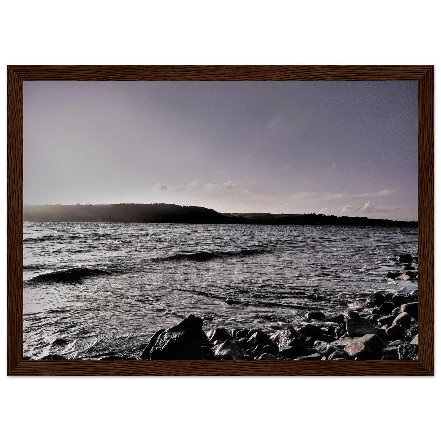 01cfa998-5490-4519-9dfe-040f11ca3e5d