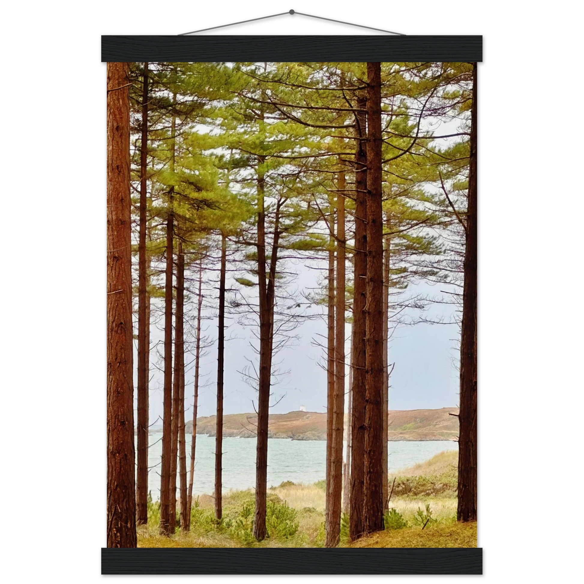 04672dec-4af8-40b1-97a5-0f05e28f90fd