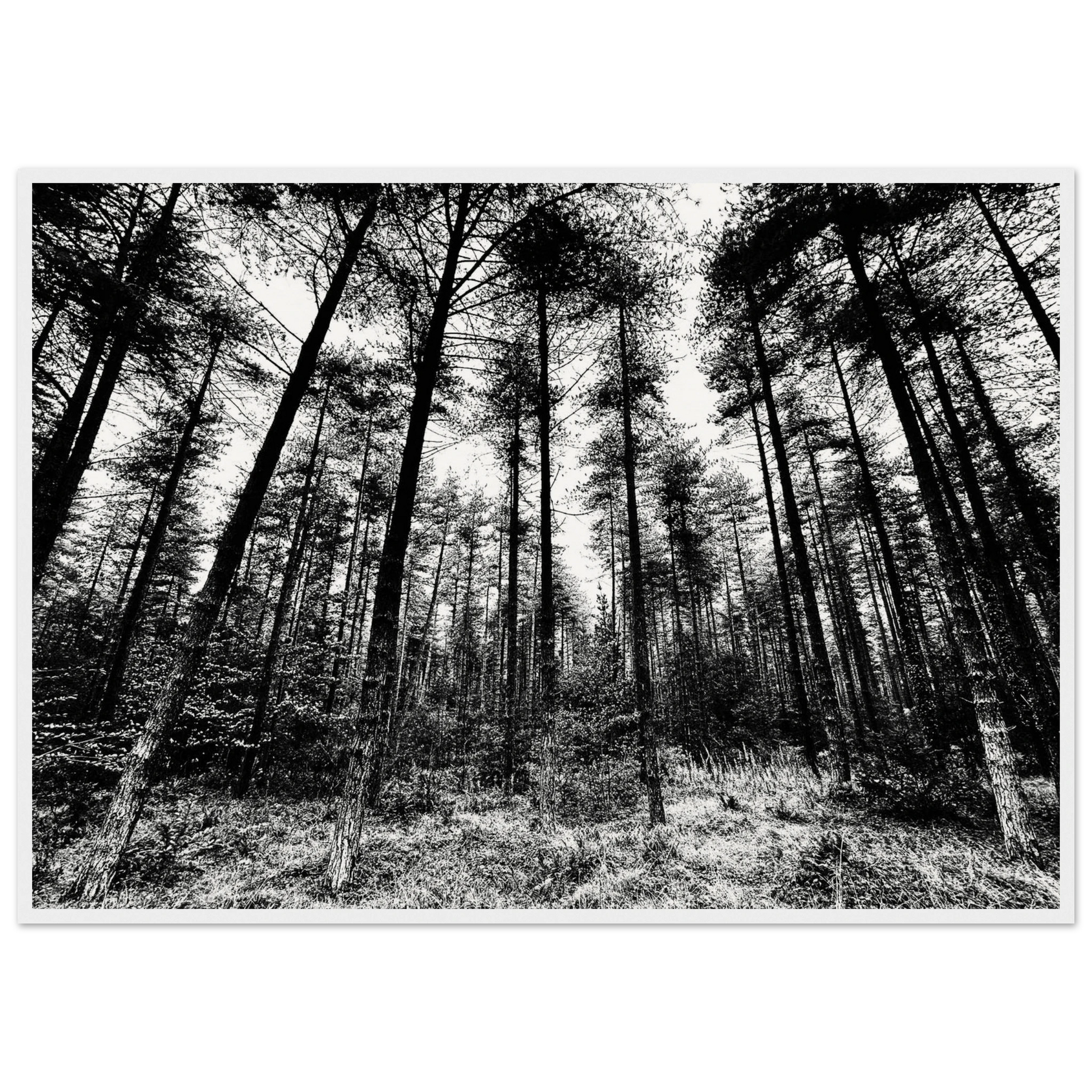 05fd0b03-167f-4c96-b00e-f946655883f8