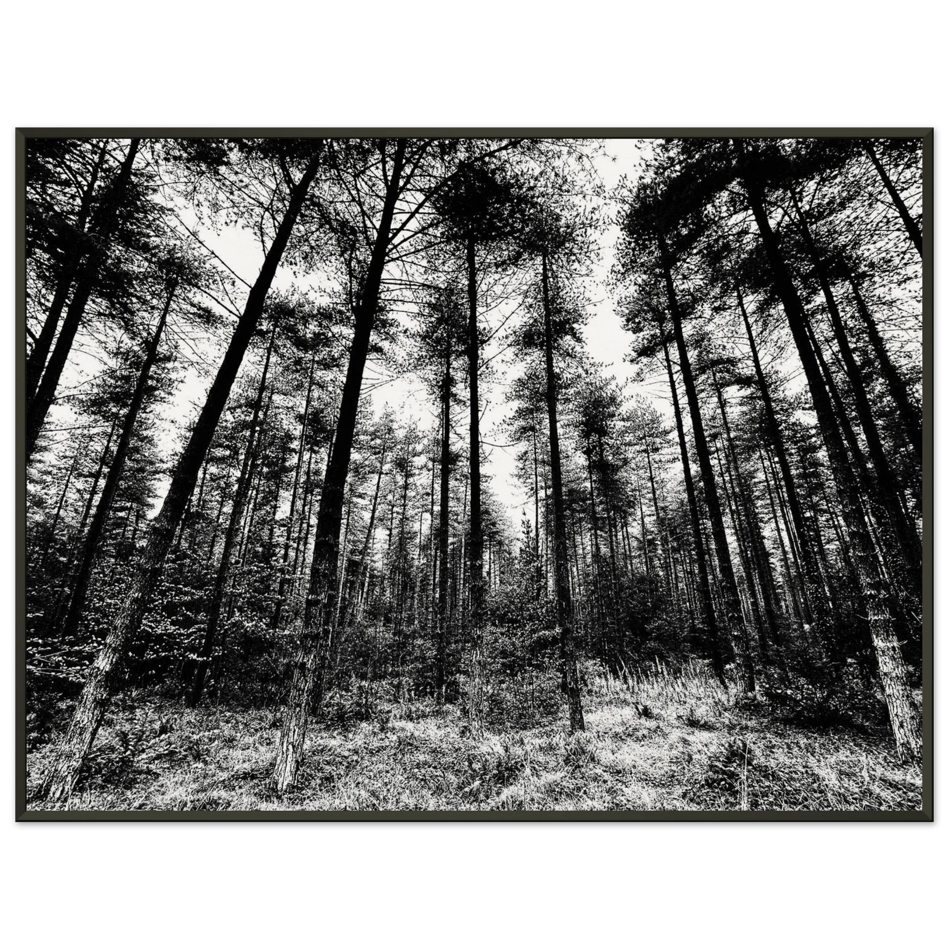 06443669-e150-4270-a71a-27714cca0865