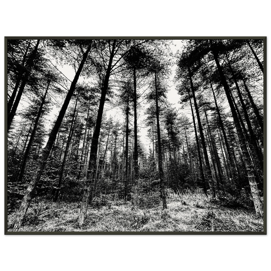 06443669-e150-4270-a71a-27714cca0865