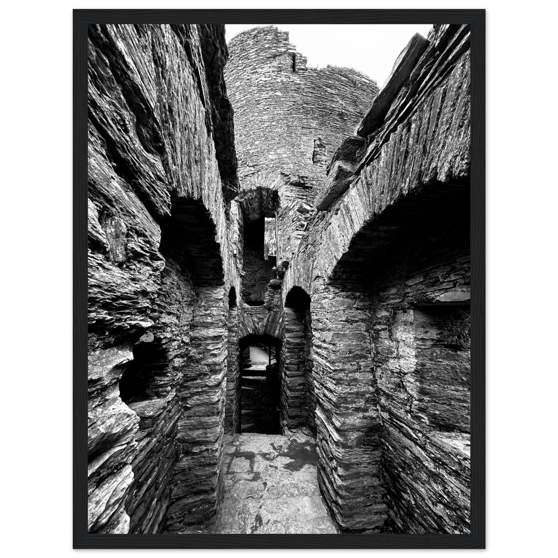 07039d64-d477-4bfe-81db-6e162d0a573d