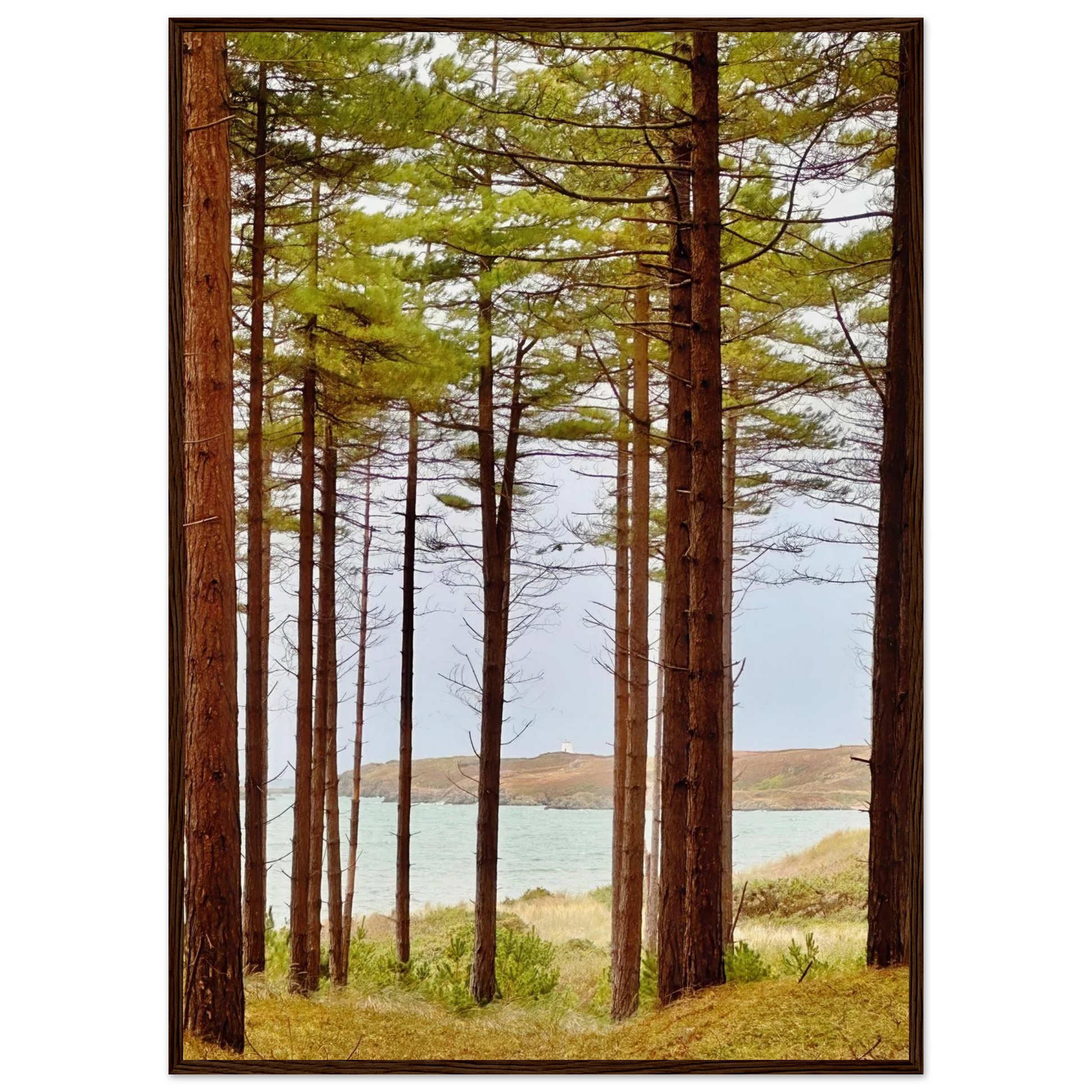 07086f3e-4ebe-426f-b595-2099b3fe50ab