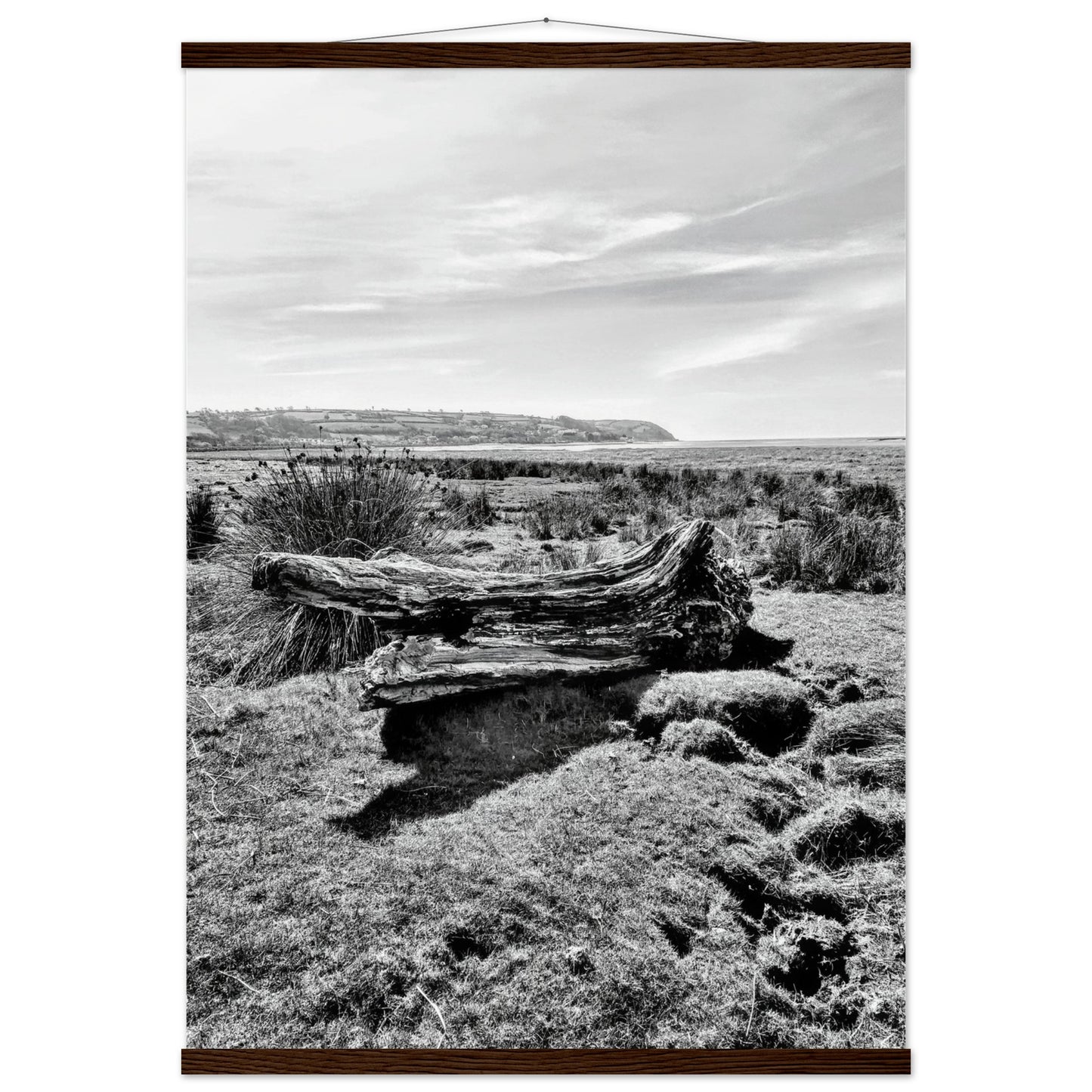 0781d6ea-7f7d-403b-8a99-8f5a3f946e27