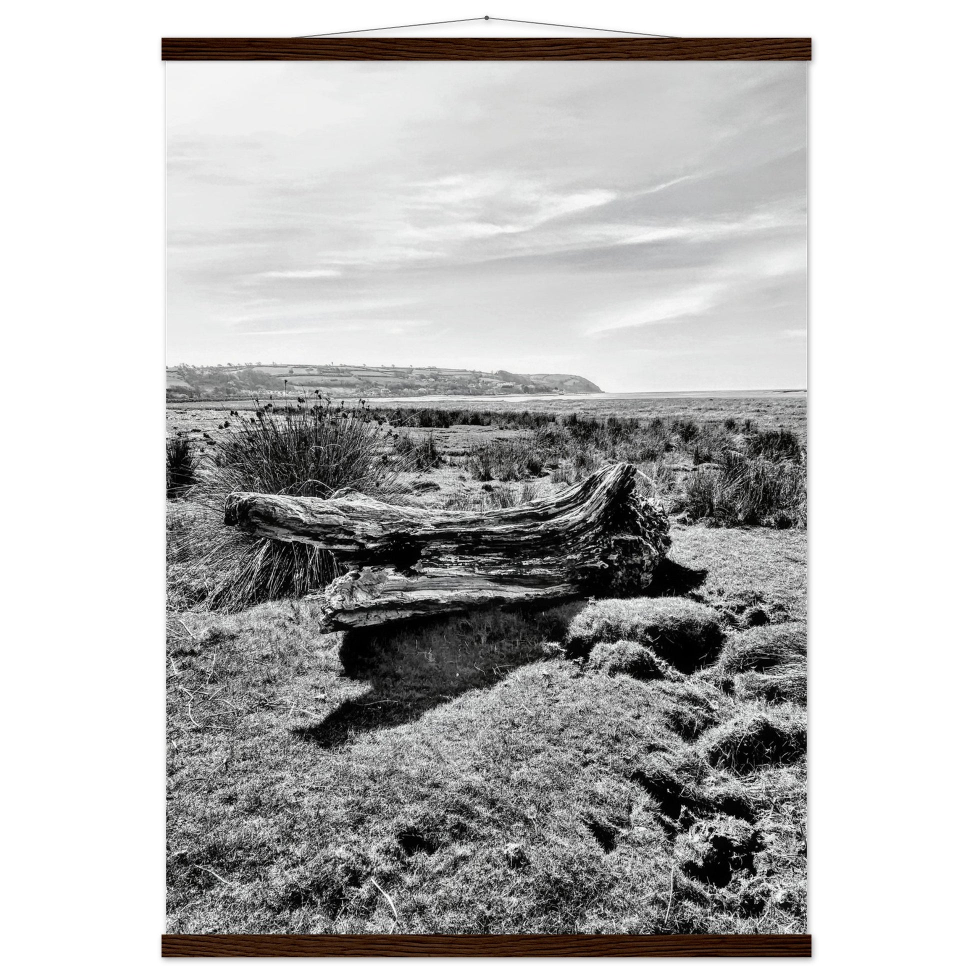 0781d6ea-7f7d-403b-8a99-8f5a3f946e27