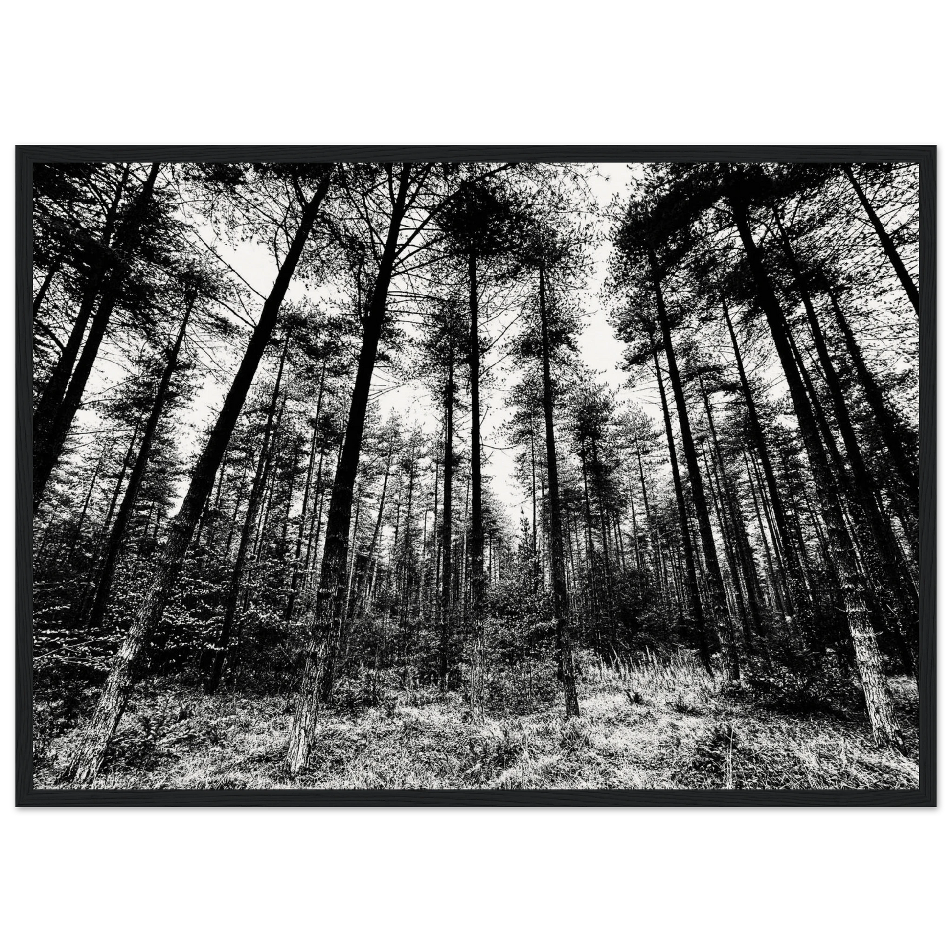 1040bfda-0d64-4342-b718-4399cded50e3