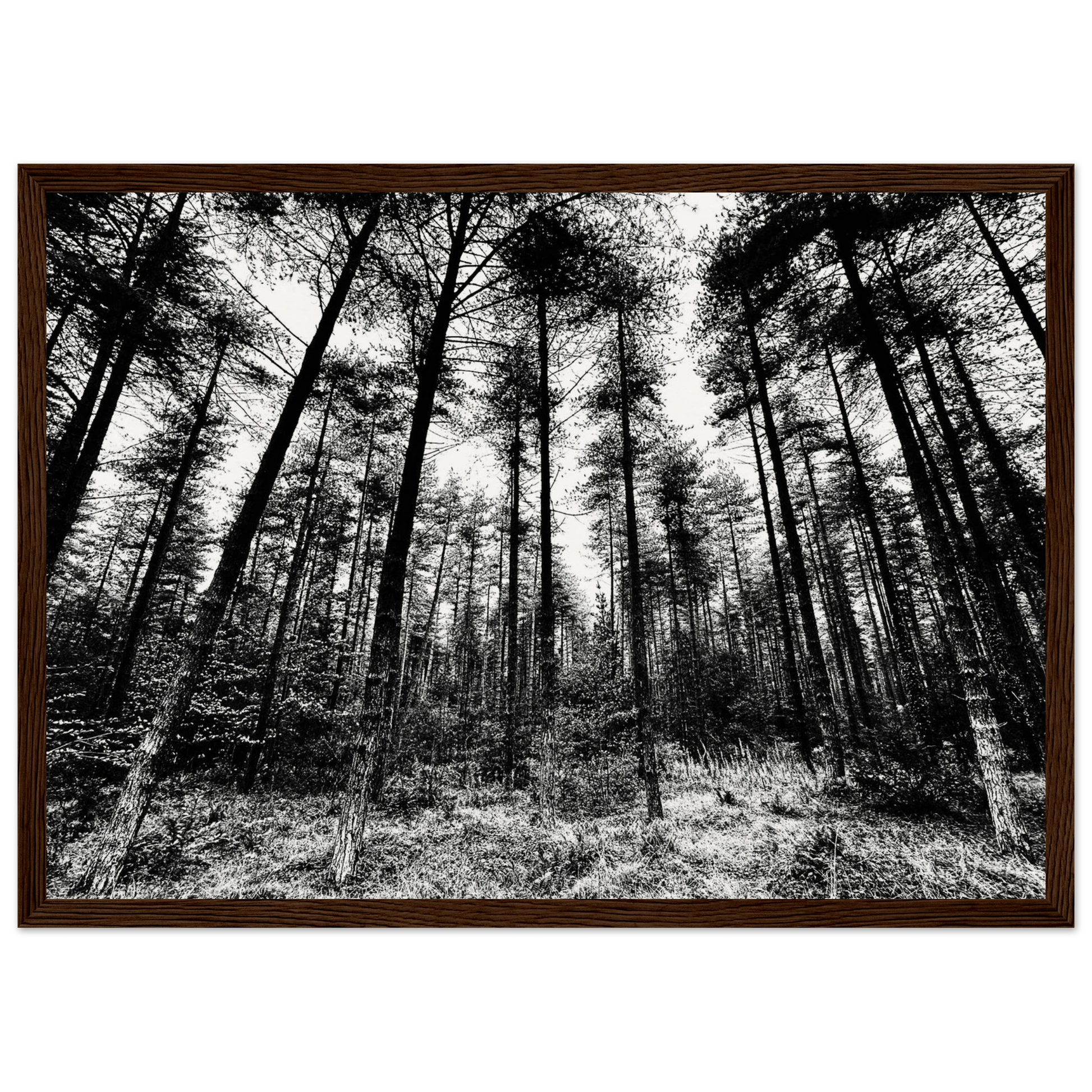 11aa283d-08b4-4cf5-8bfa-c712d1bb9fc8