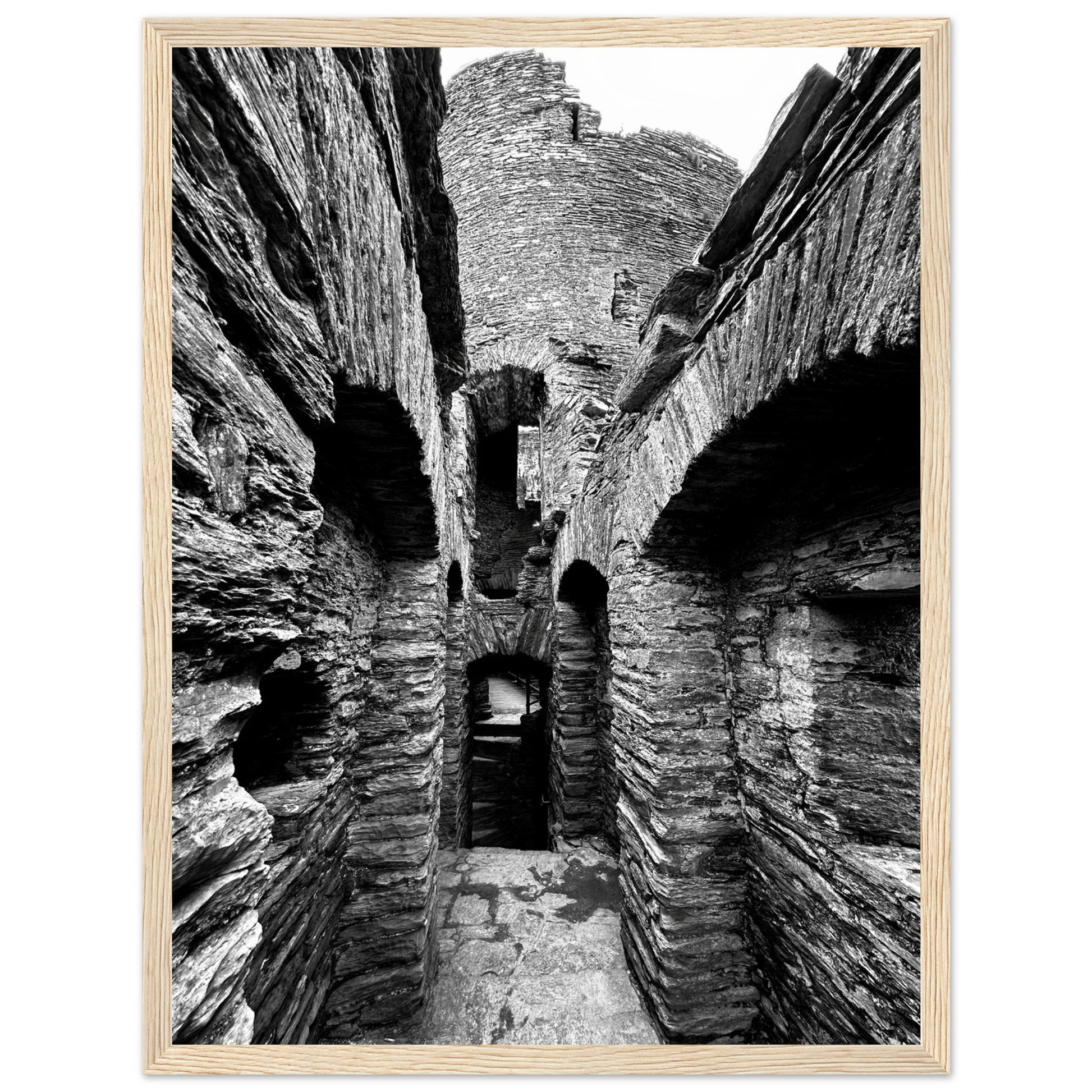 1252bffc-dfbb-47e3-8703-414b56ac3ca7