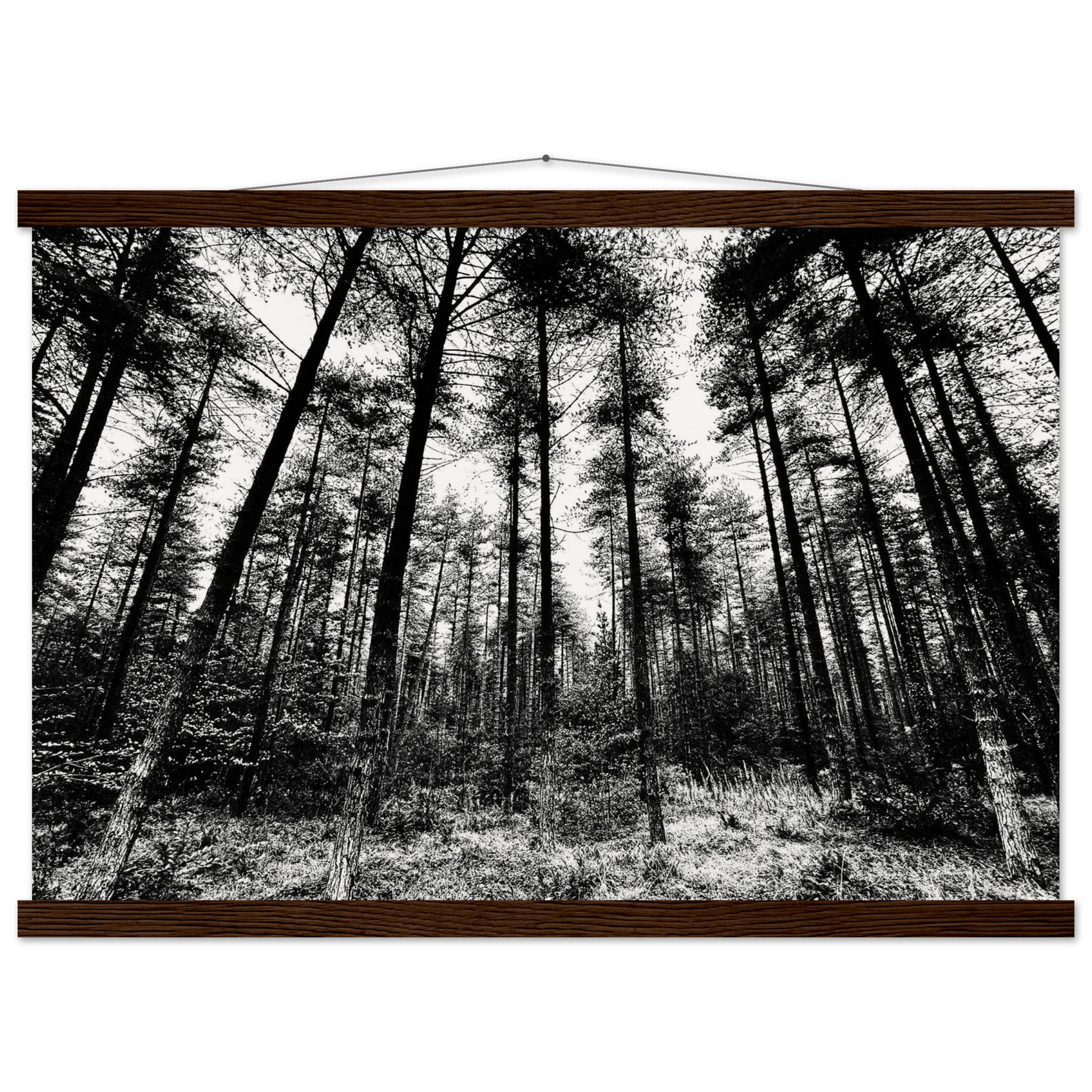 1421edf7-40dd-4eb9-ab43-f671b3b3e1f8