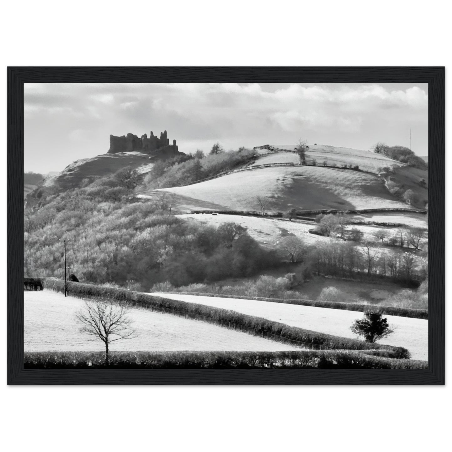 1502e27e-f595-4489-83ca-e9cf9b4ab65b