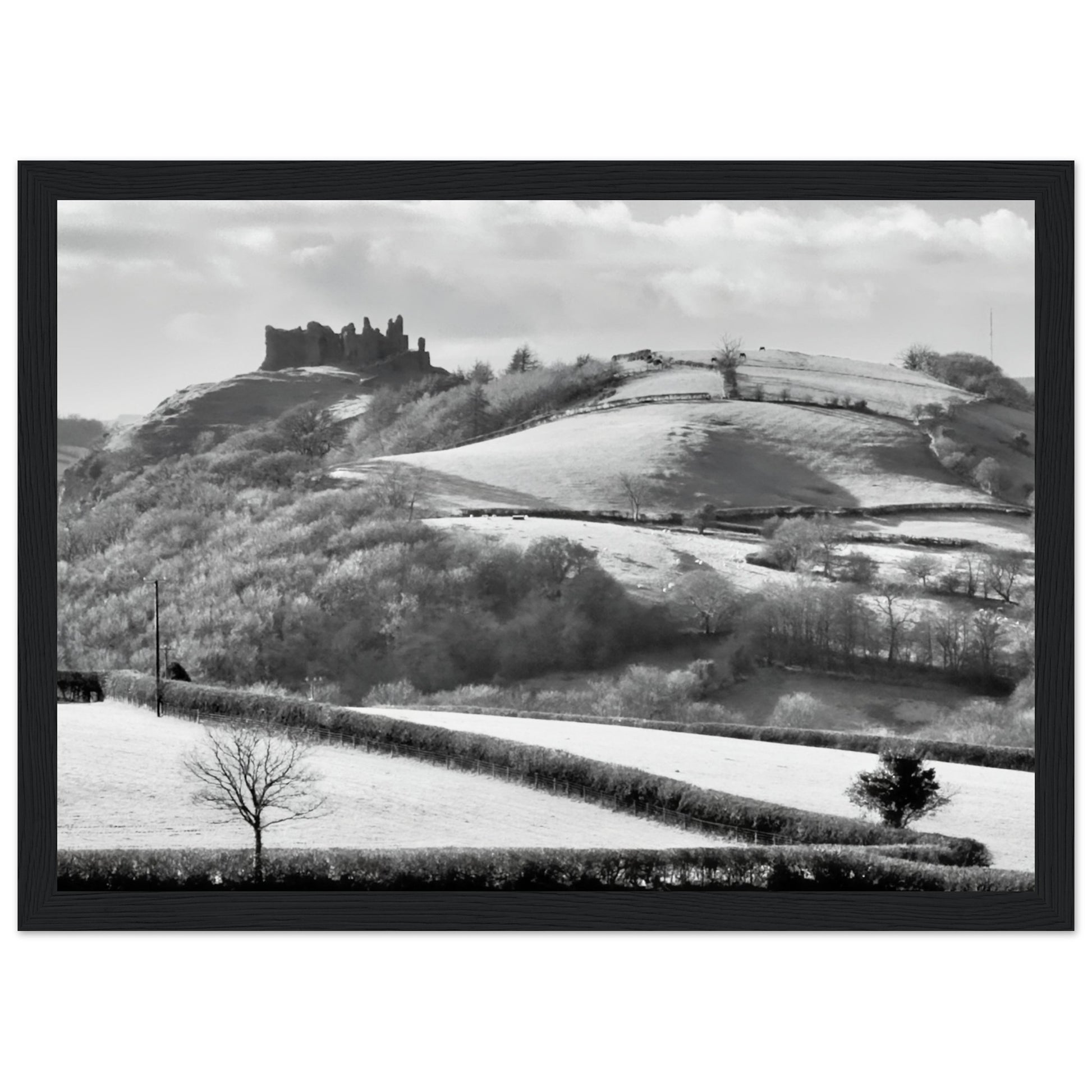 1502e27e-f595-4489-83ca-e9cf9b4ab65b