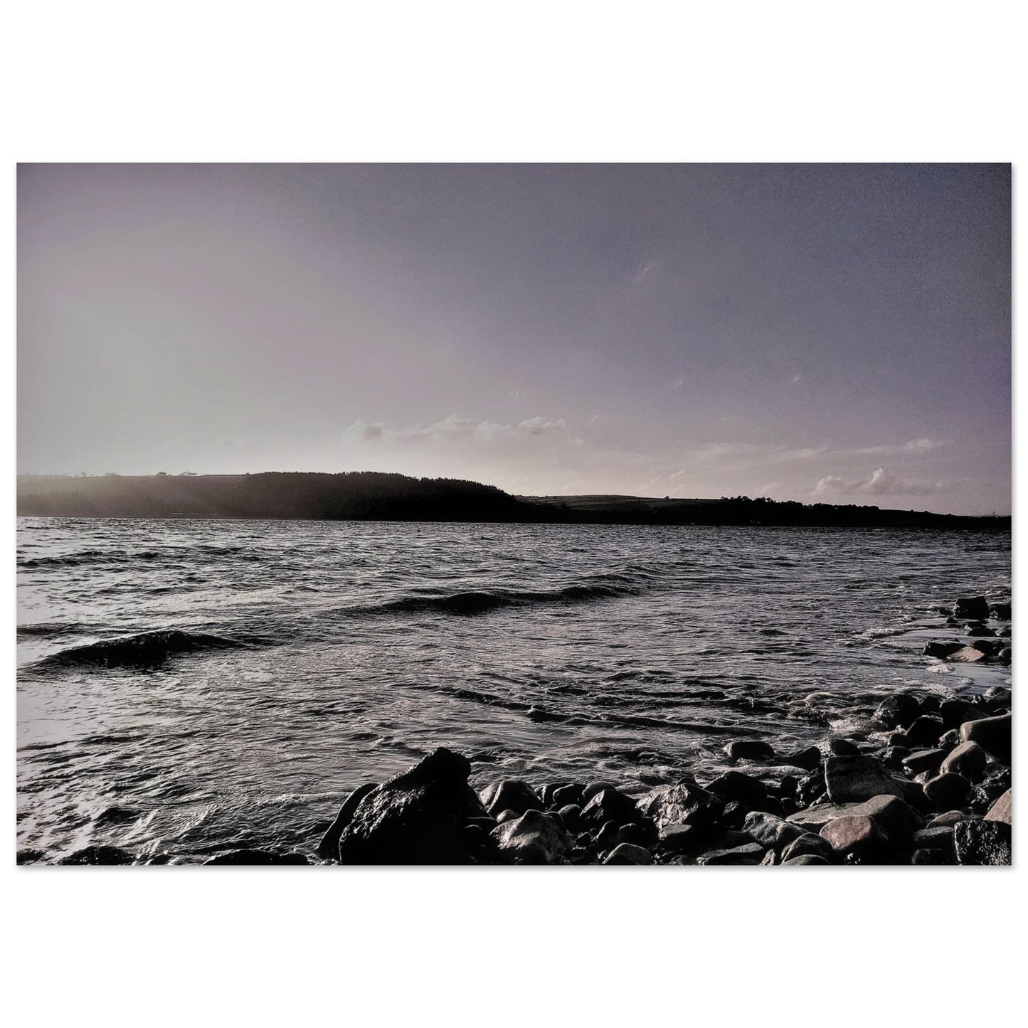 1799e5ee-08a2-4a55-a10e-e26c6999bea7