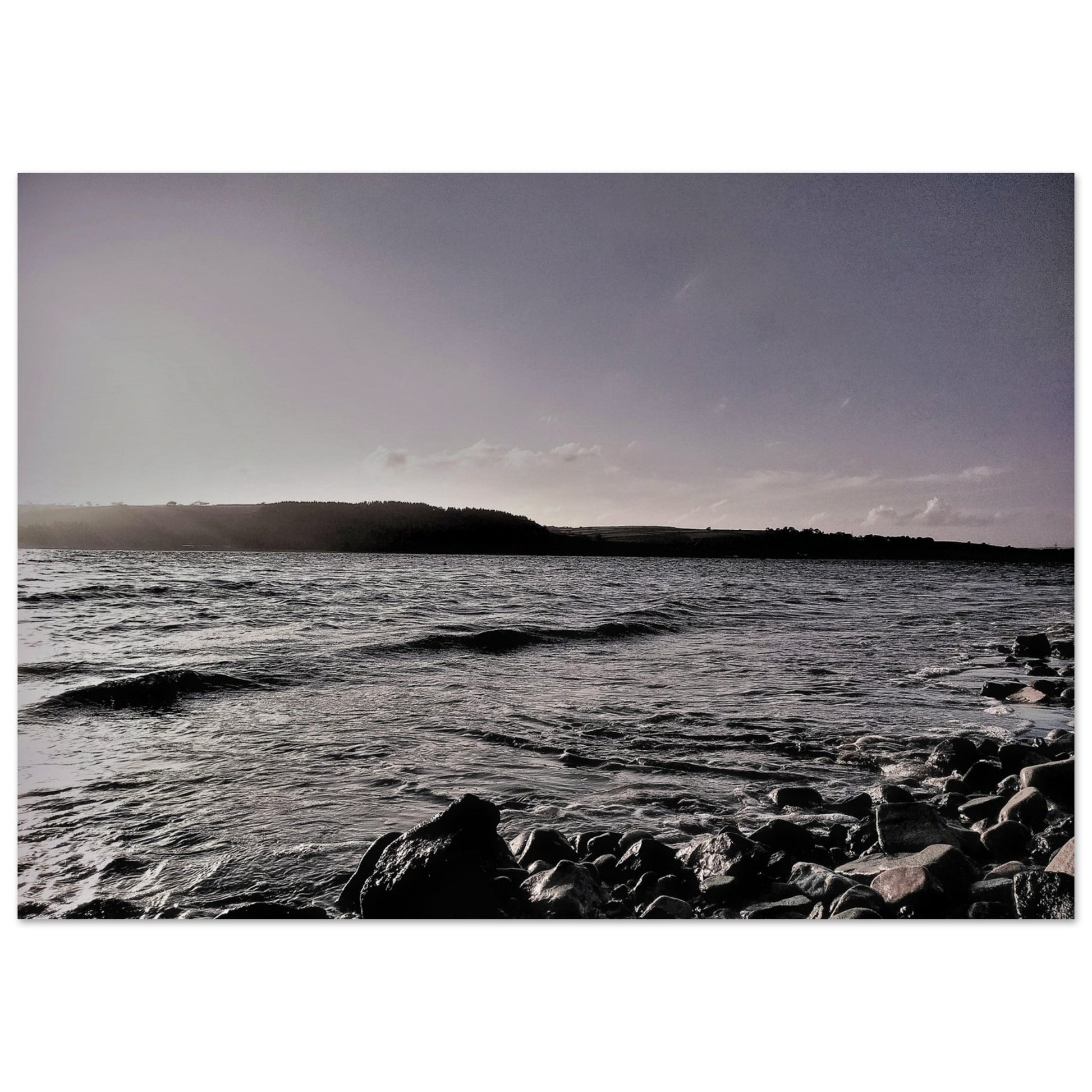 1799e5ee-08a2-4a55-a10e-e26c6999bea7