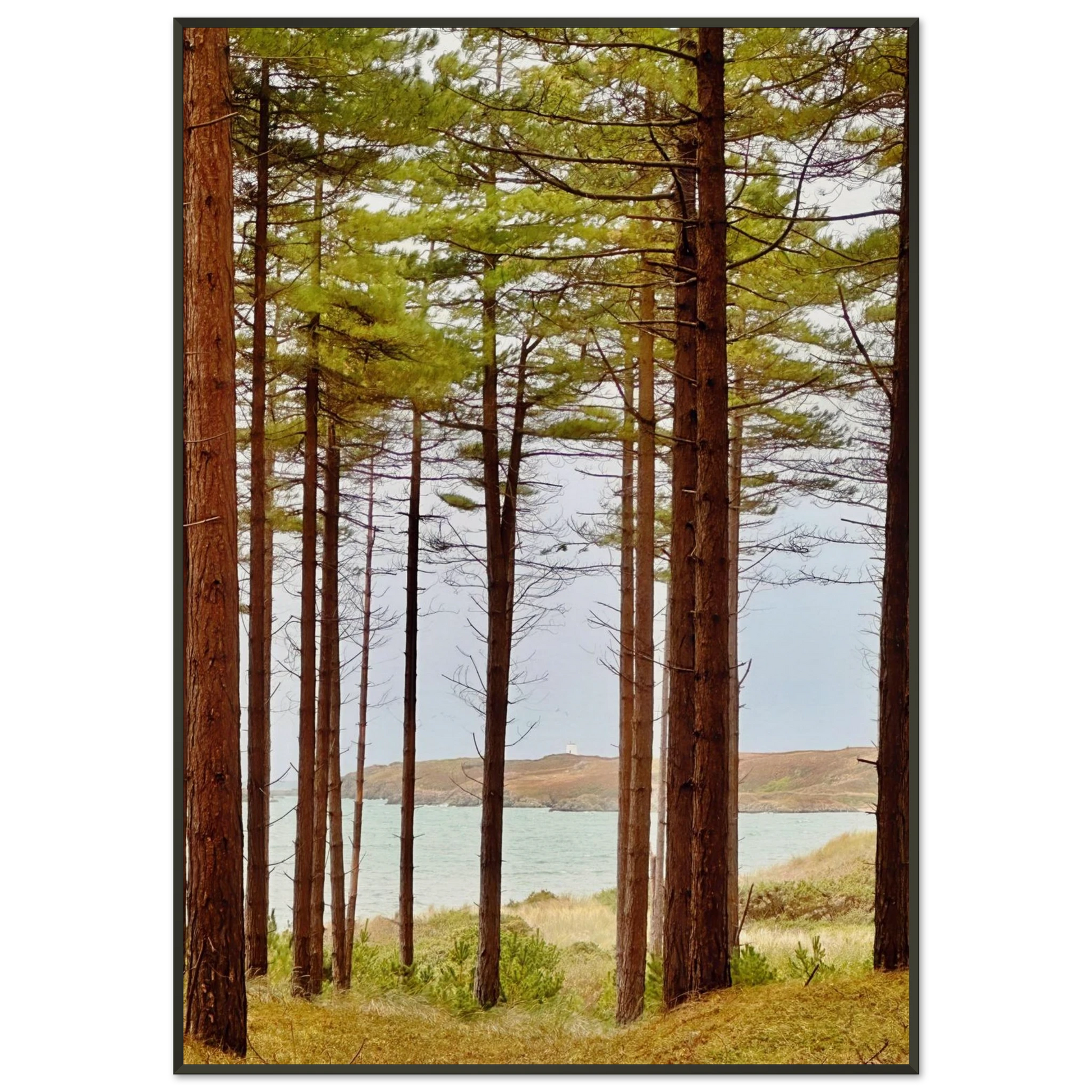 182cbe3a-0971-49dd-baf5-e29c402344f4