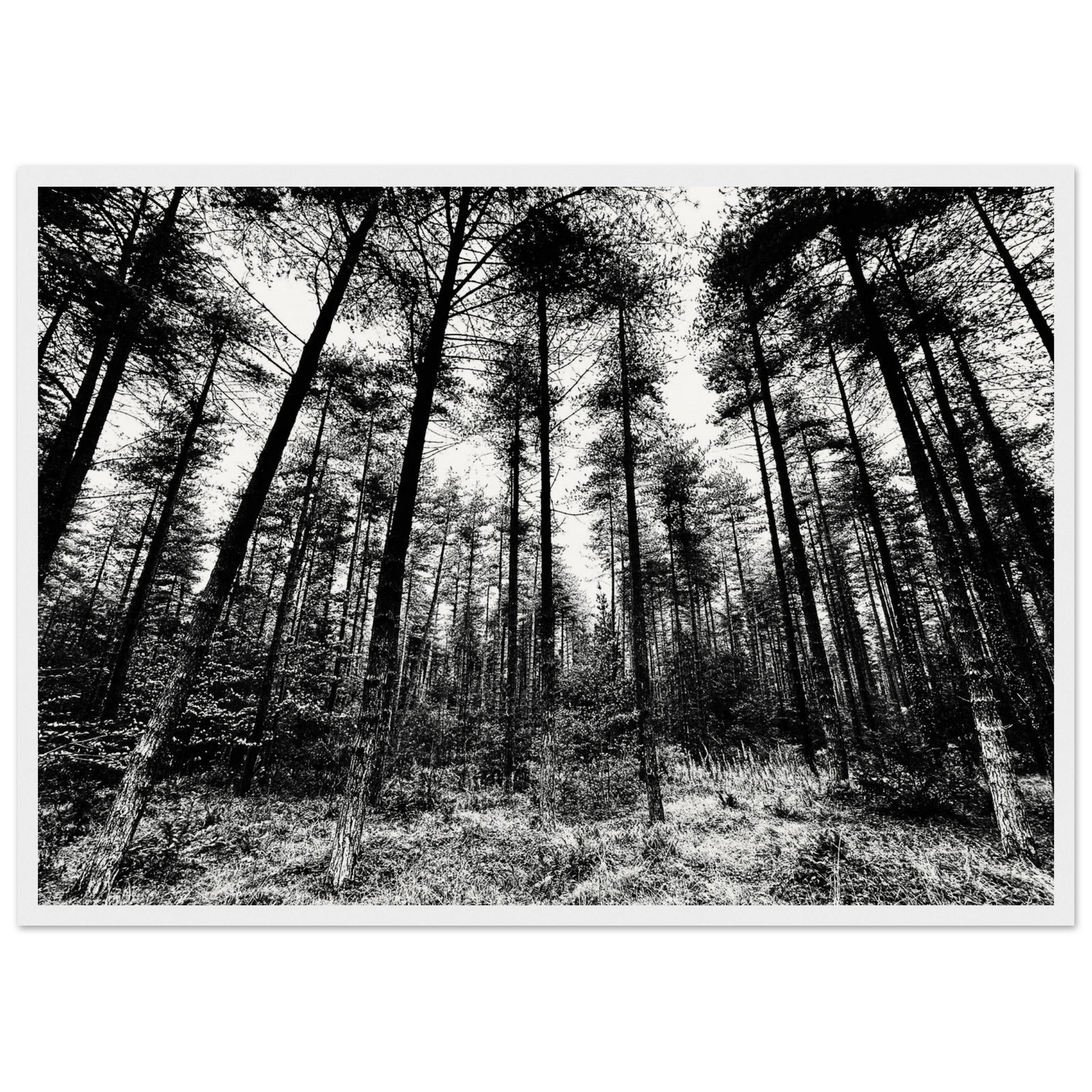 19456155-0ca9-41c5-b7e1-a2d4aa353894