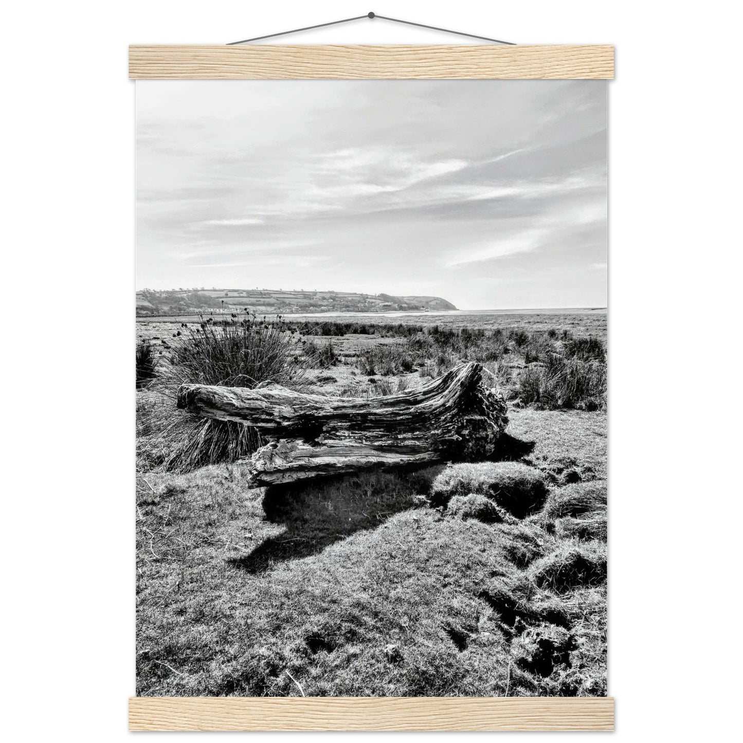 1cbb55e6-0ff4-4b2a-bb0c-9659f9976902