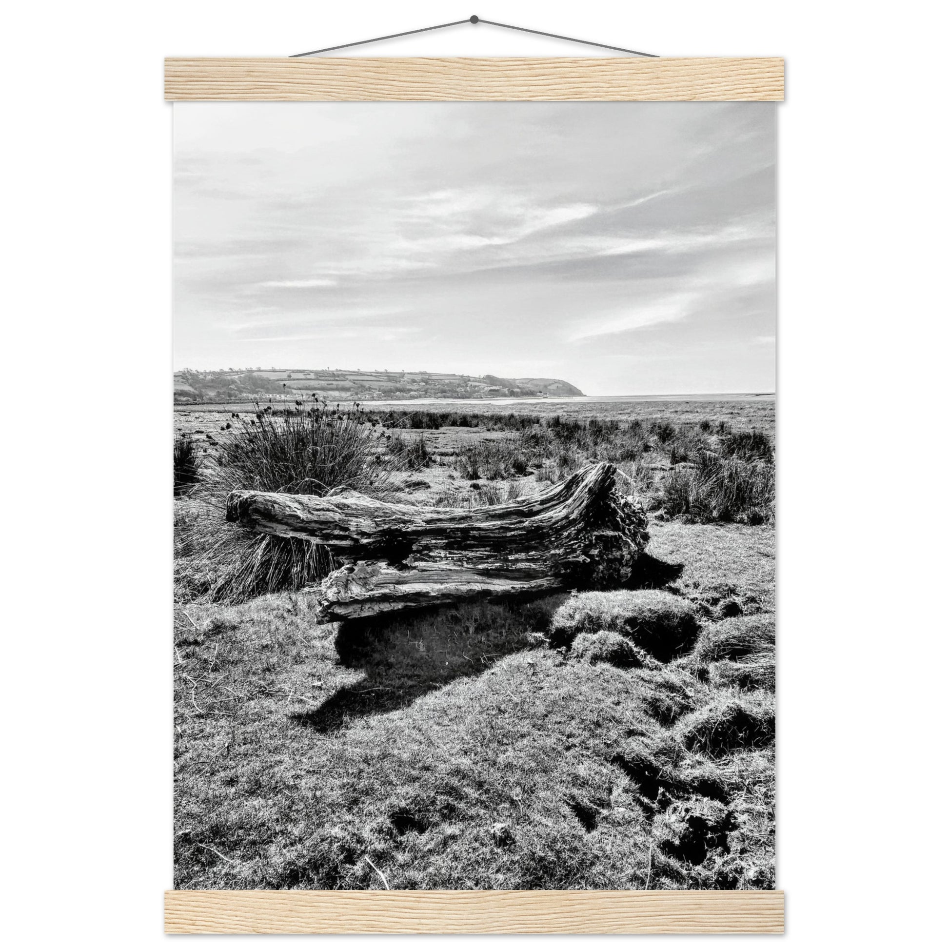 1cbb55e6-0ff4-4b2a-bb0c-9659f9976902