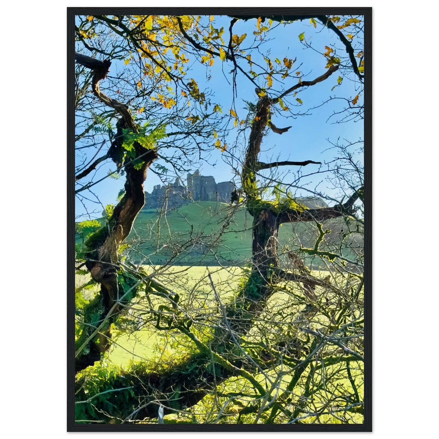 1d8782ff-73af-4094-a9ee-ba8c7e5b08bb
