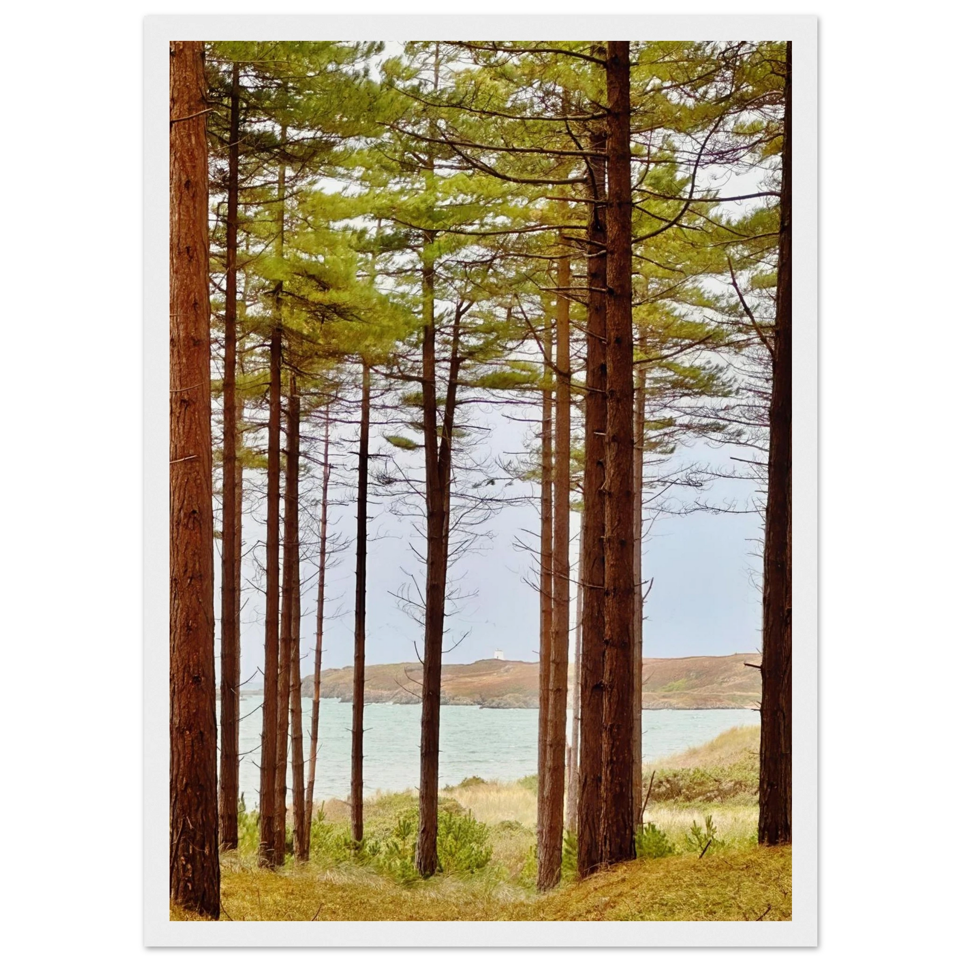 1de00f57-22cf-4233-8a8d-0a172551e532