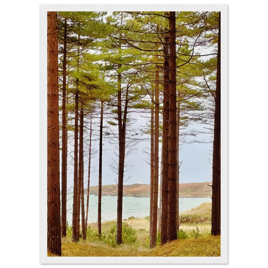 1de00f57-22cf-4233-8a8d-0a172551e532