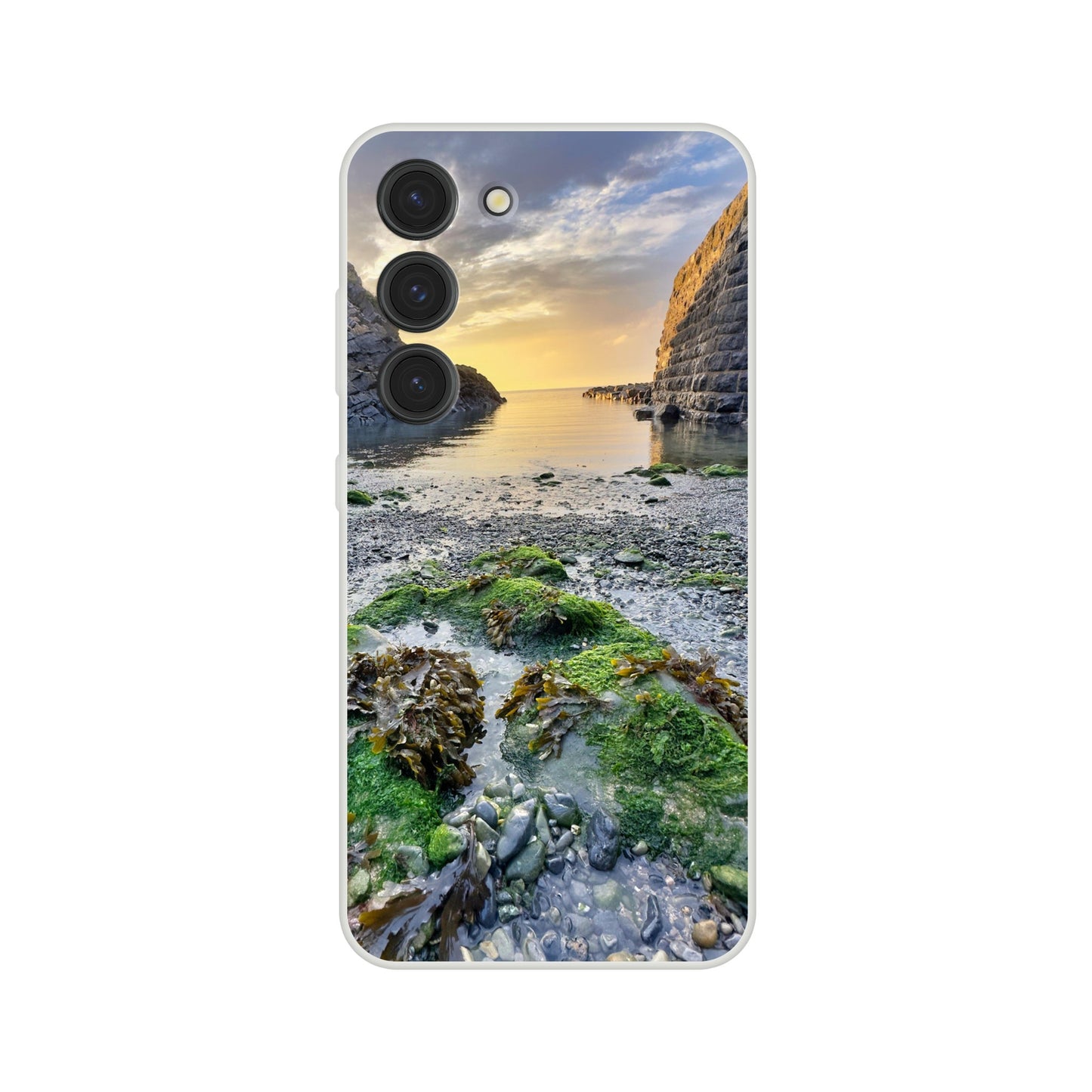 1e4b2748-a96a-4f8b-8799-4abafa3a9469