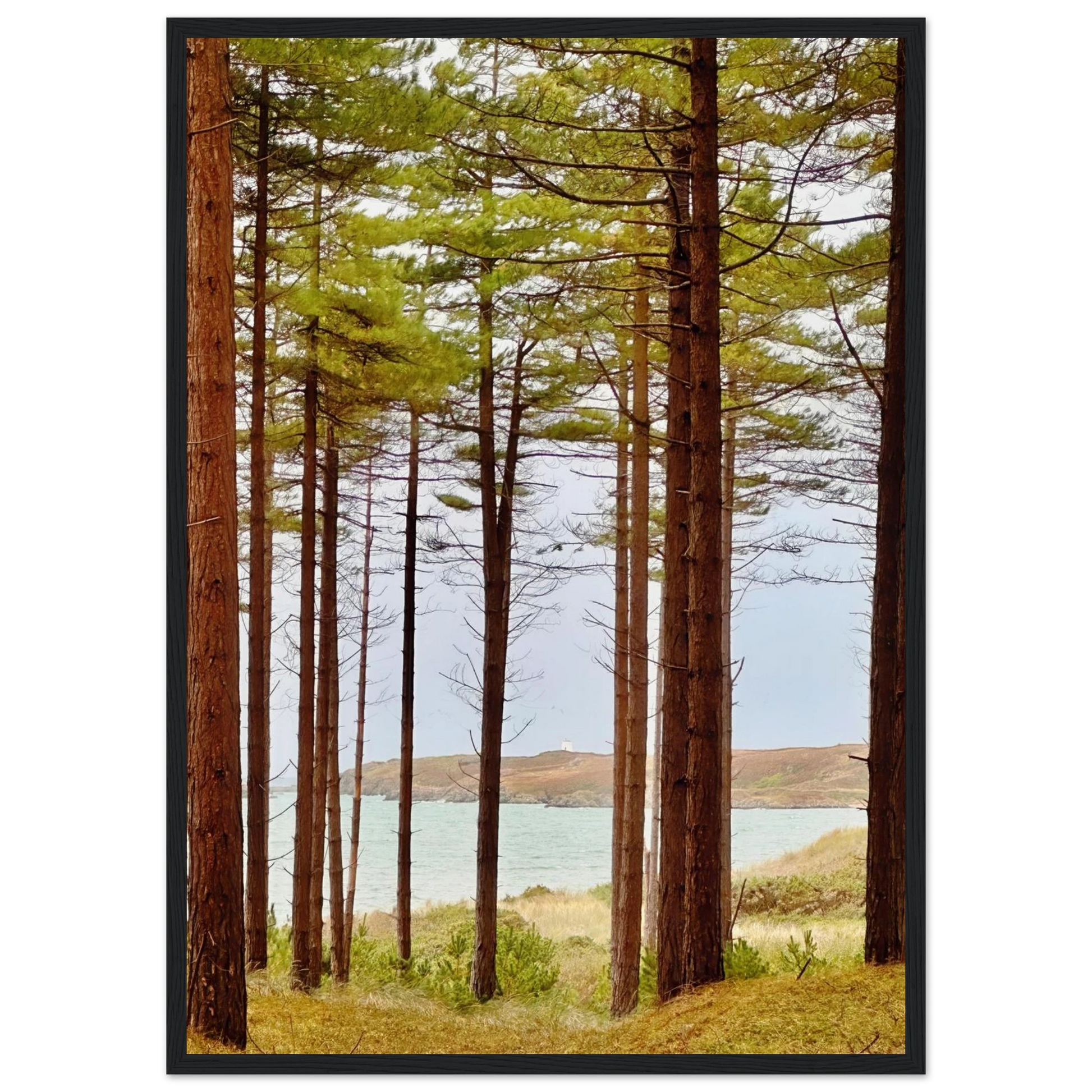 1ef63676-90ac-4546-8b42-17bd584c7165