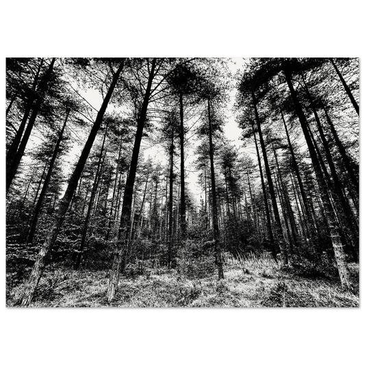 200c24be-8670-41a7-b898-9f26d305ab84