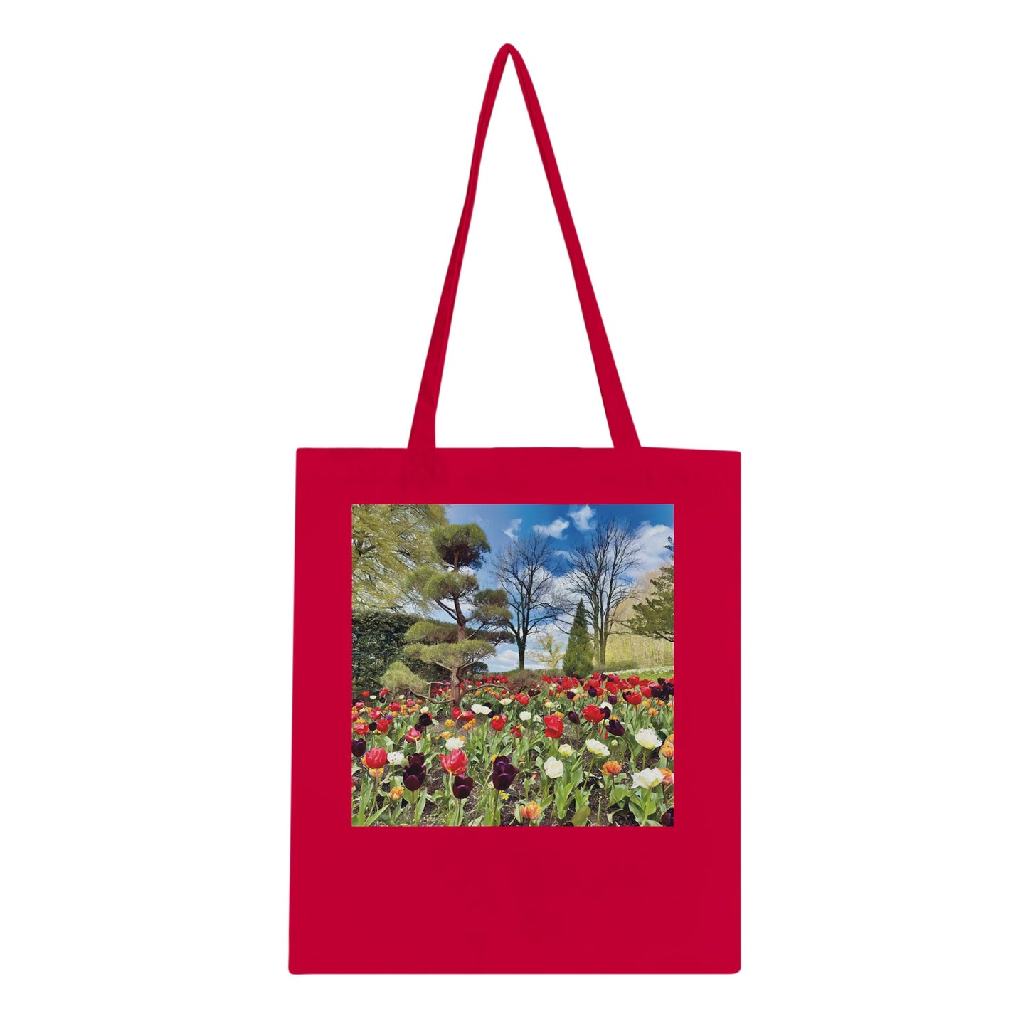 218f4705-22dc-42ce-b14d-22751273f9c3