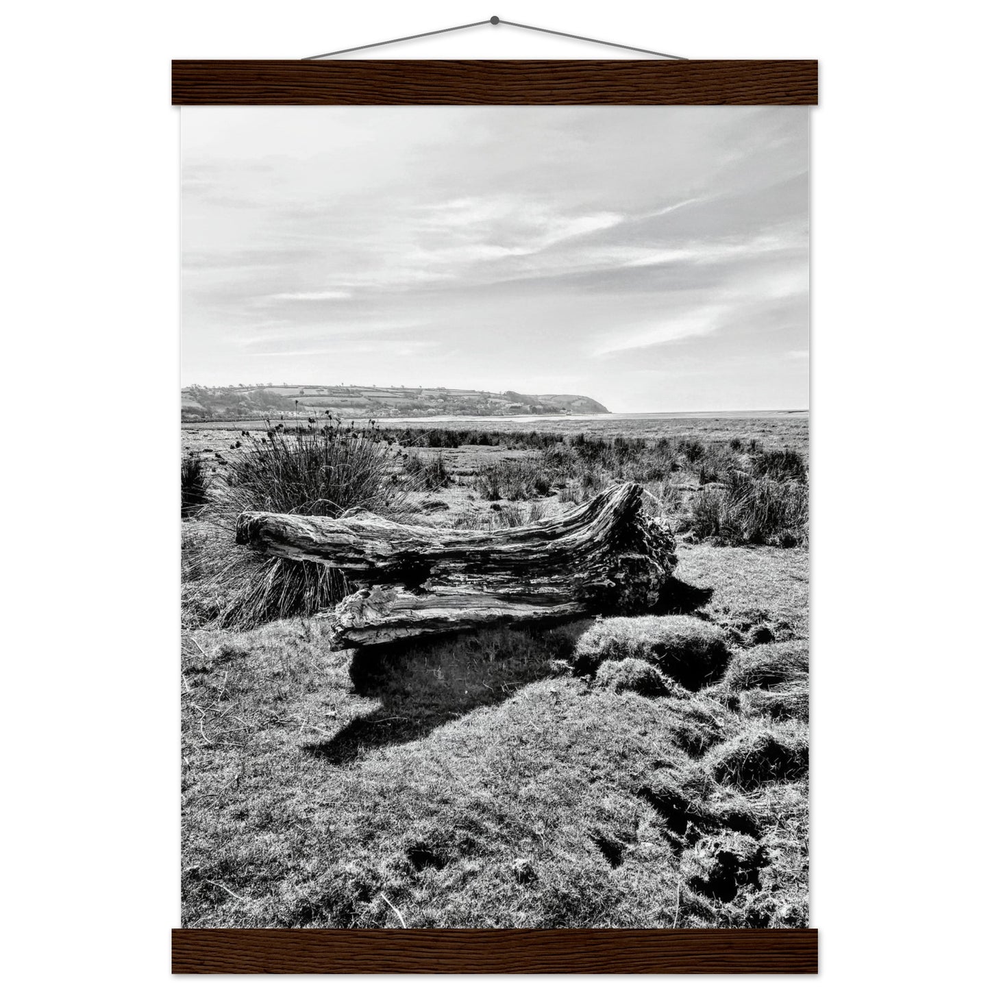 22e9b918-7864-4257-9c50-313ab48b44d6