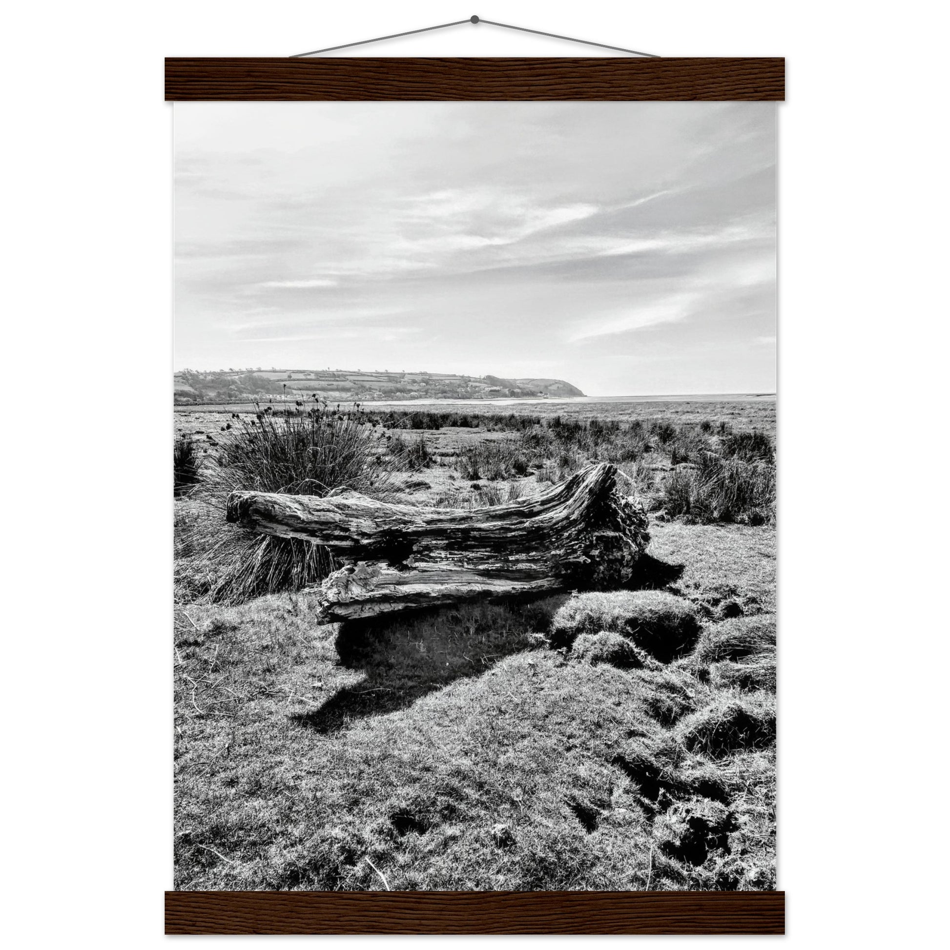 22e9b918-7864-4257-9c50-313ab48b44d6