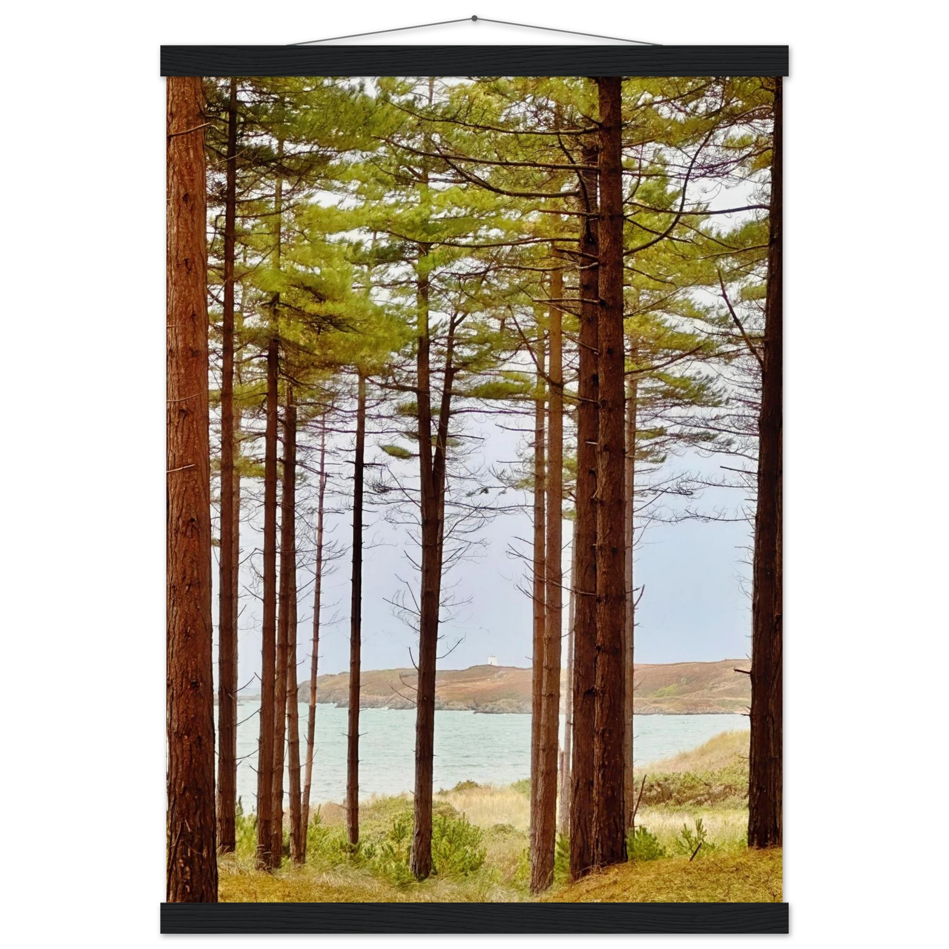 24a9c942-ad08-4ea5-a6d7-e7b89ff85888