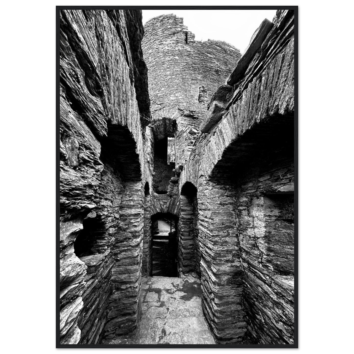 251d8eab-2869-4e86-af3b-9466e8fdf586