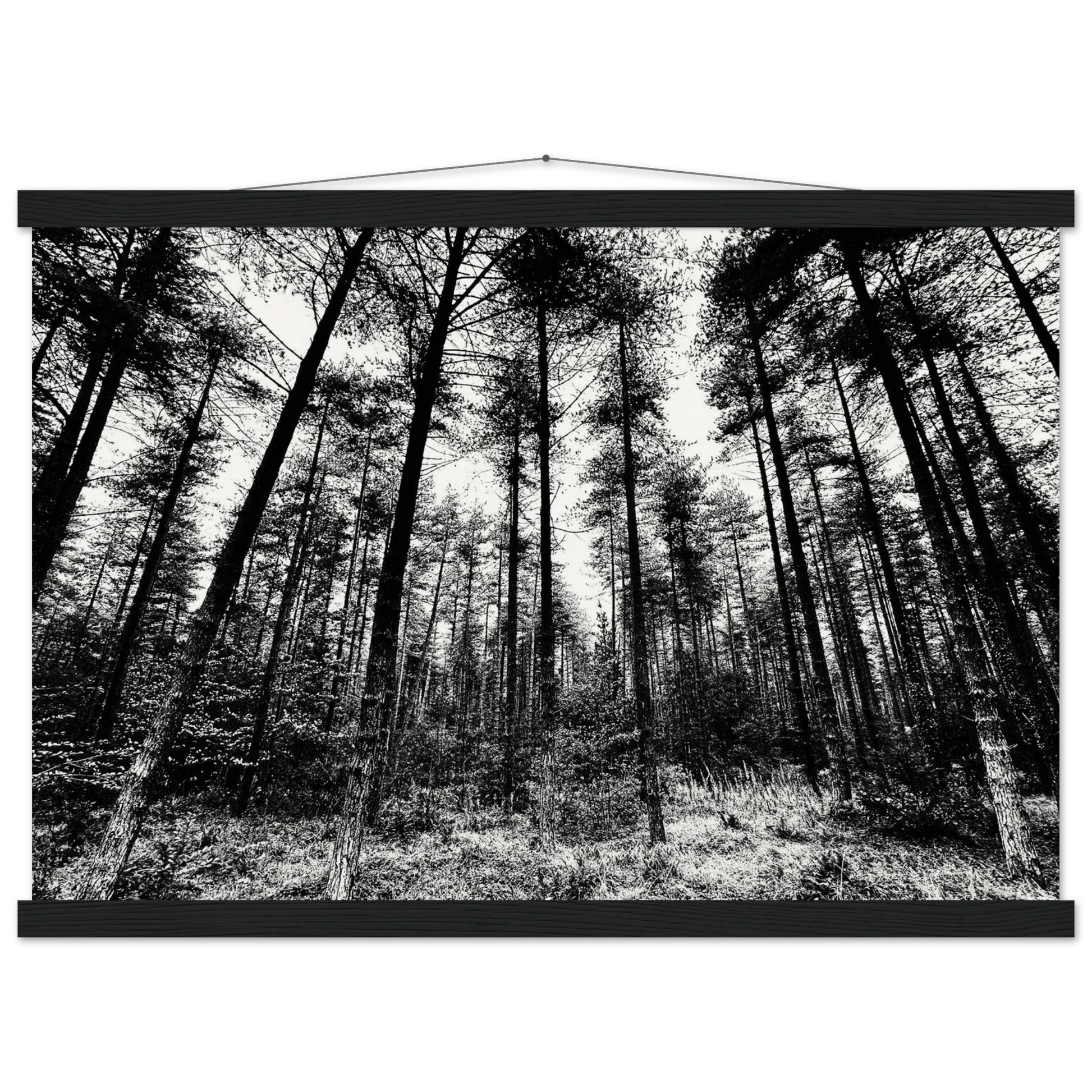 25f1f202-a2b9-442f-8b70-c4f8dc125d66