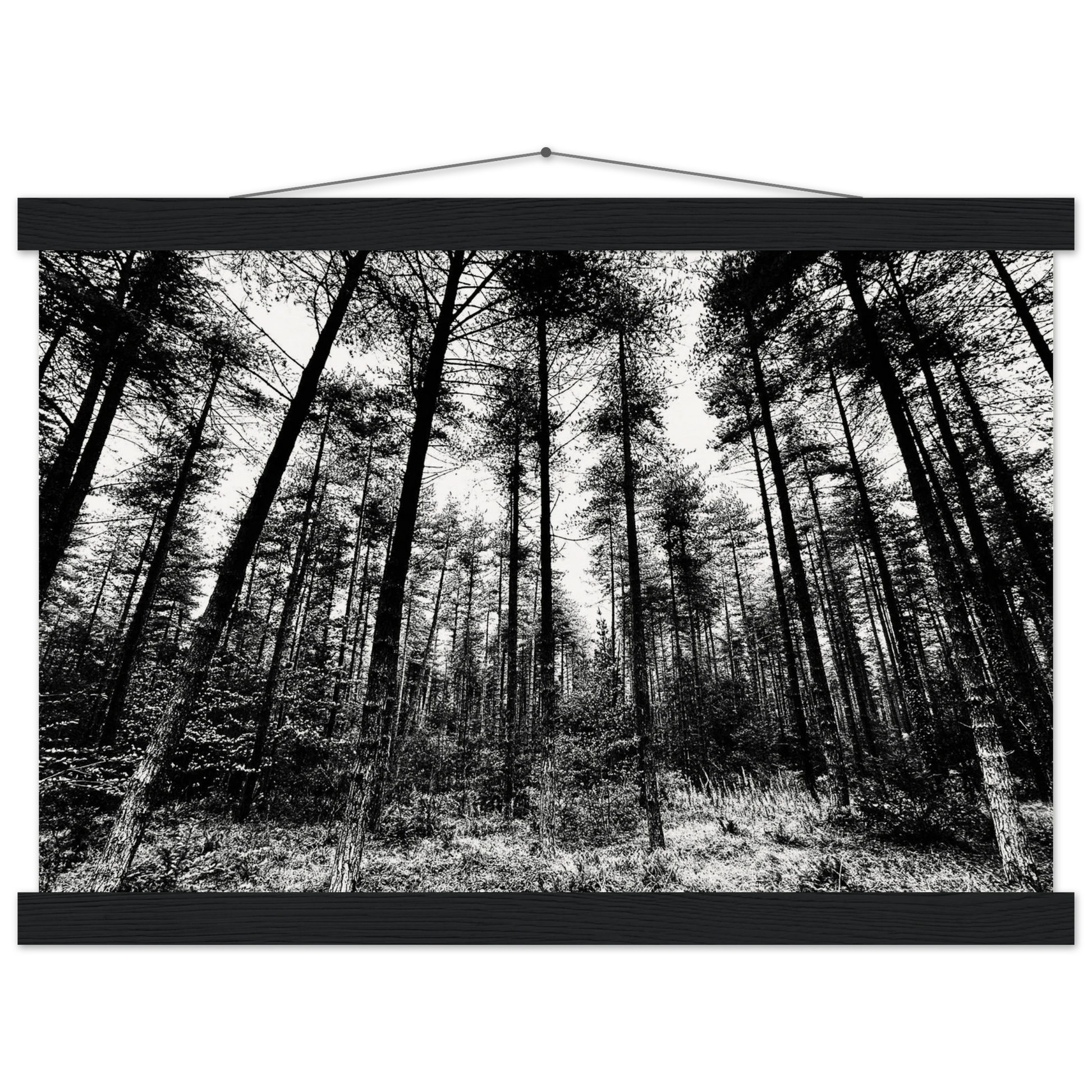 29b7ee98-11d0-440a-939b-39064a239900