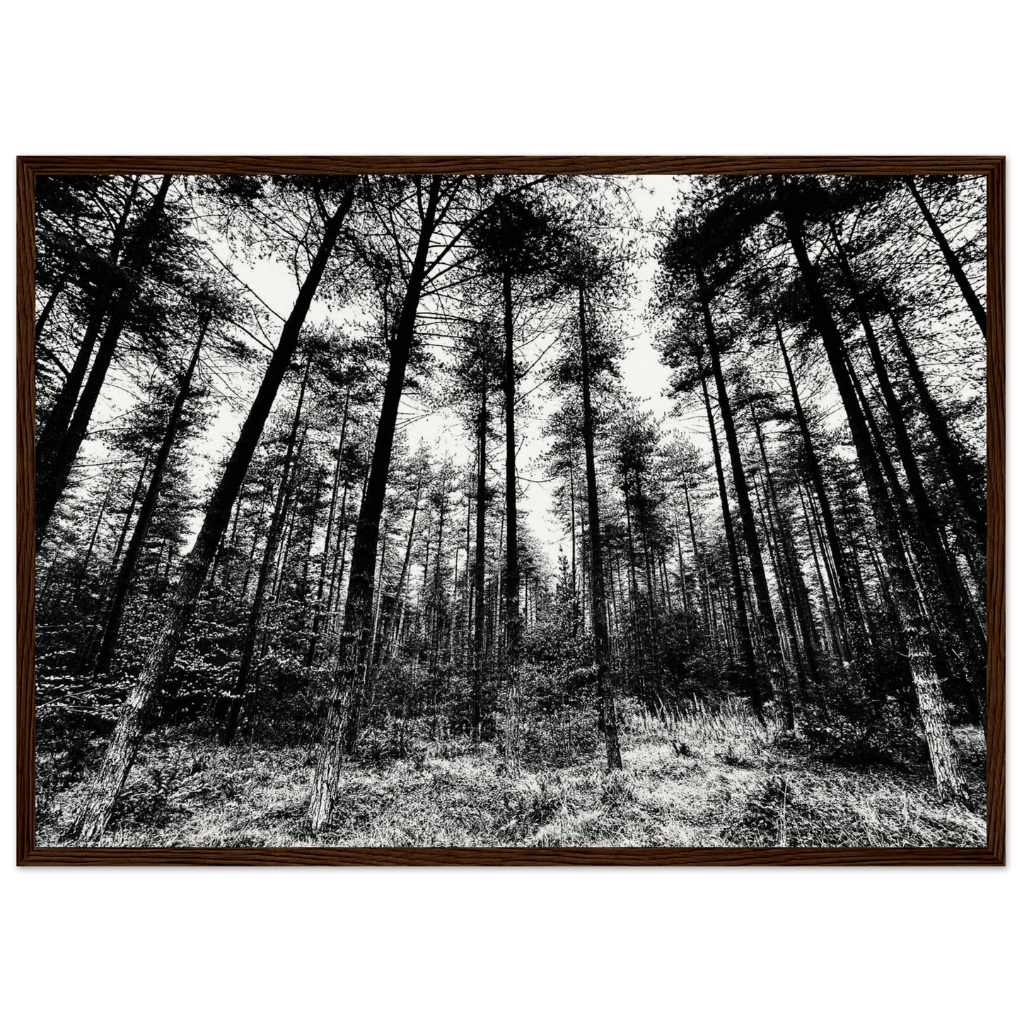 2af984b2-1dfc-4db4-b902-79001b6cb077