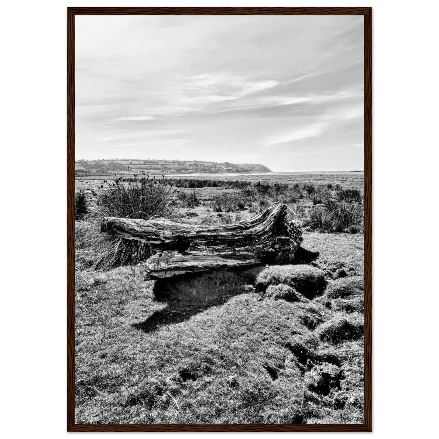 2b3b4b00-79aa-4d48-b210-fe3f89627269