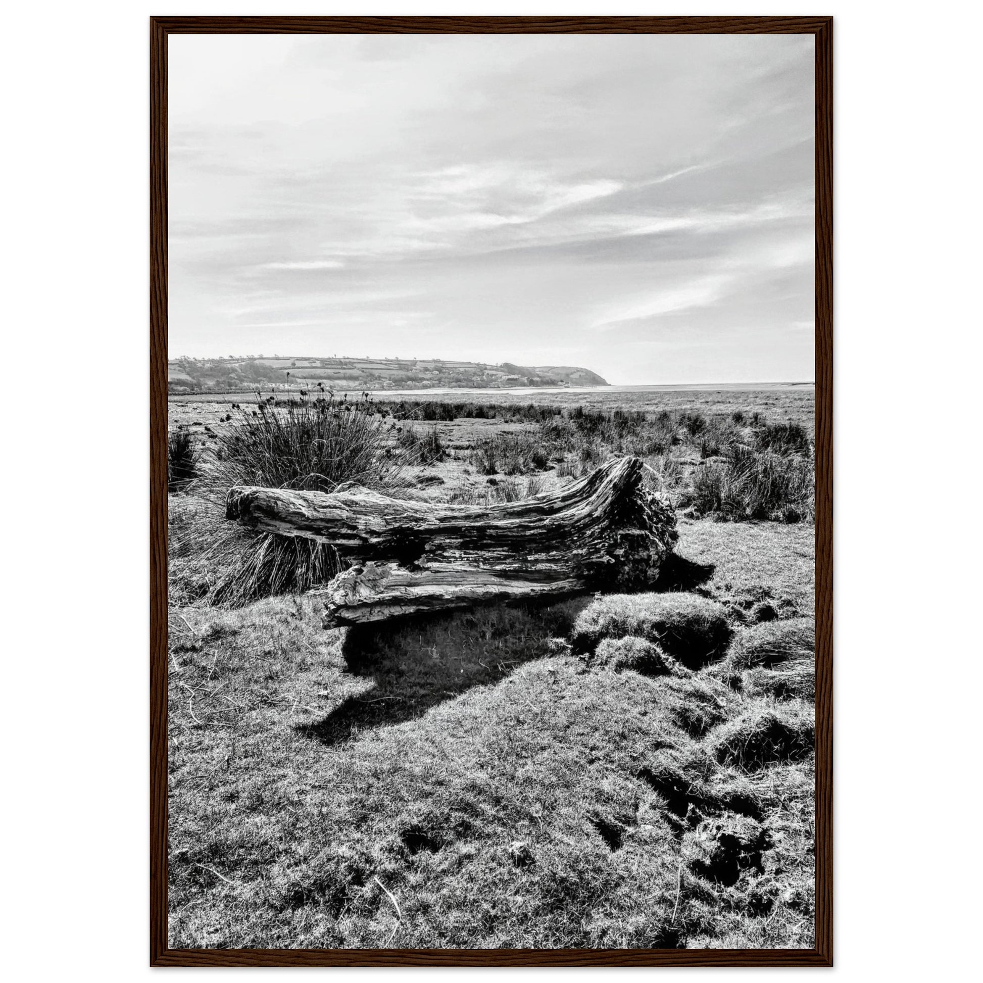 2b3b4b00-79aa-4d48-b210-fe3f89627269