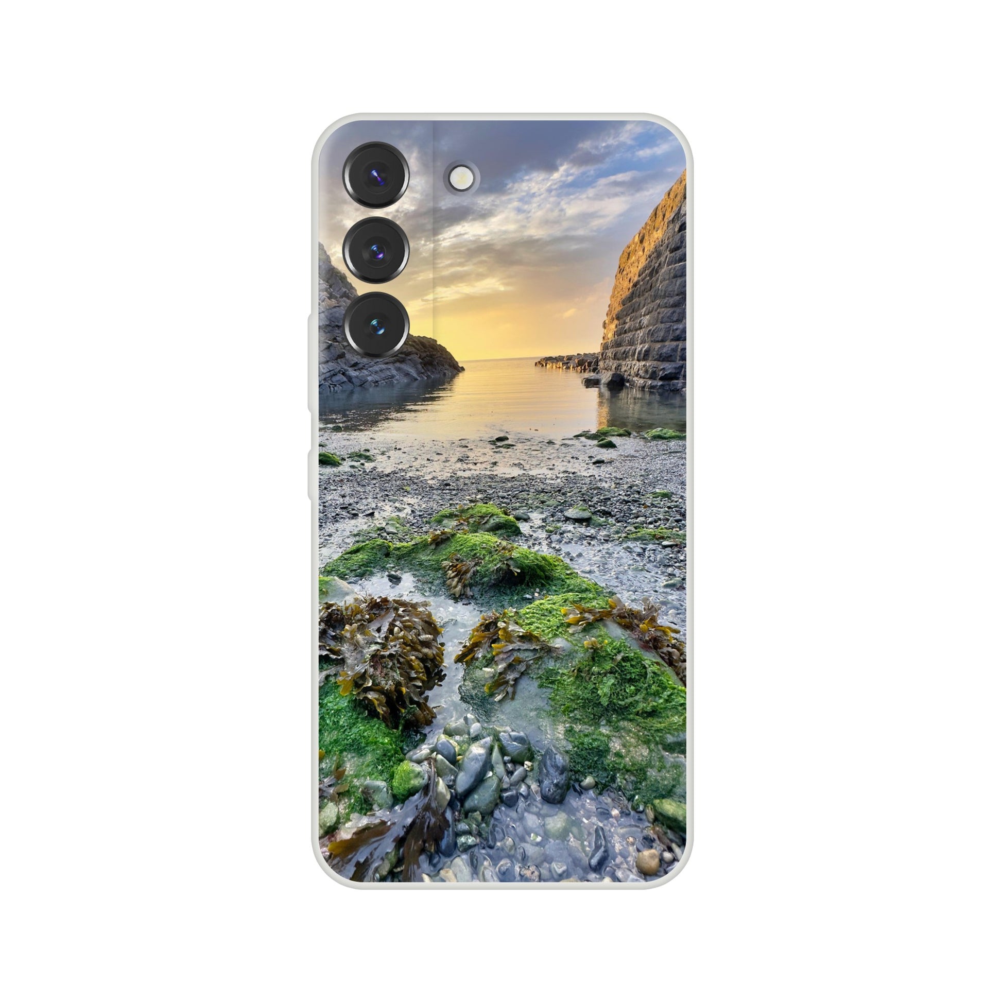 2b79ad64-c3e7-453b-81a2-ccb359ca33d9