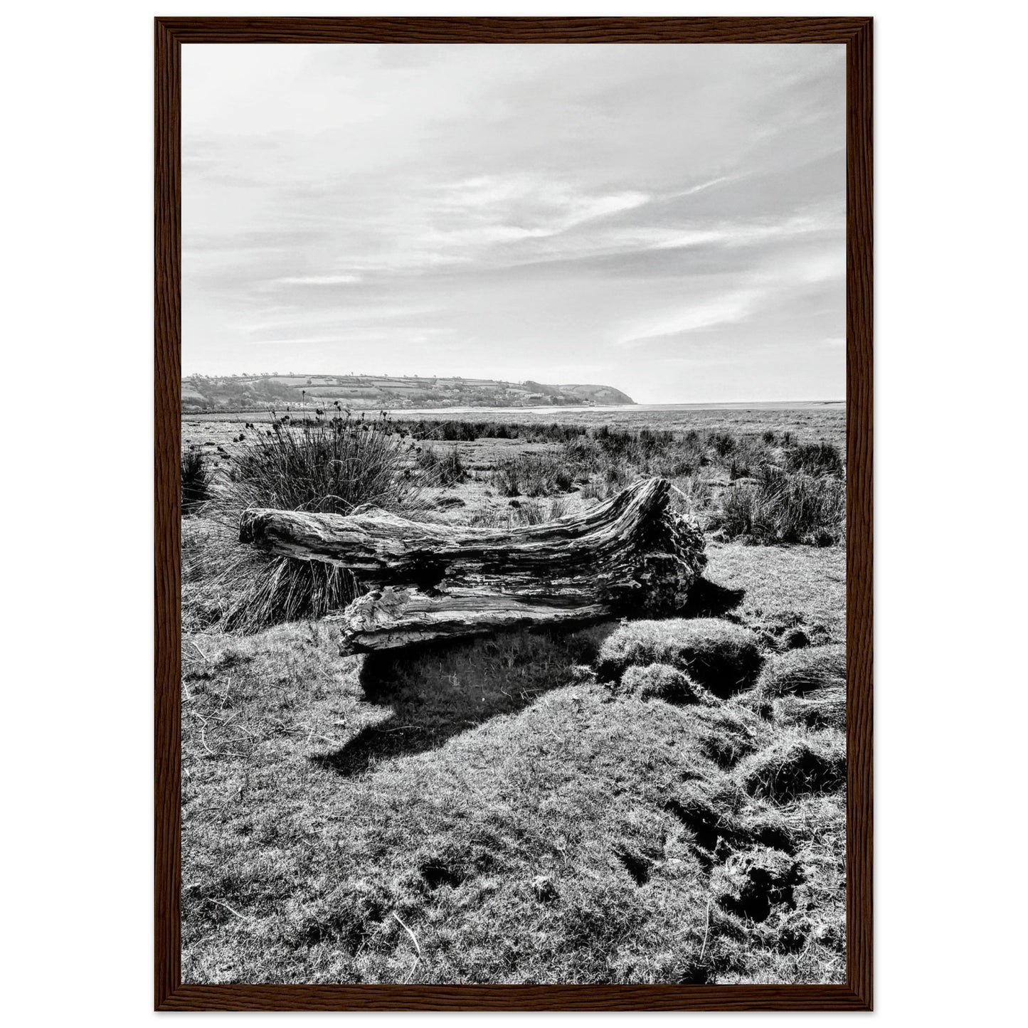 2c509402-42b9-42b3-a5aa-253a28824f39