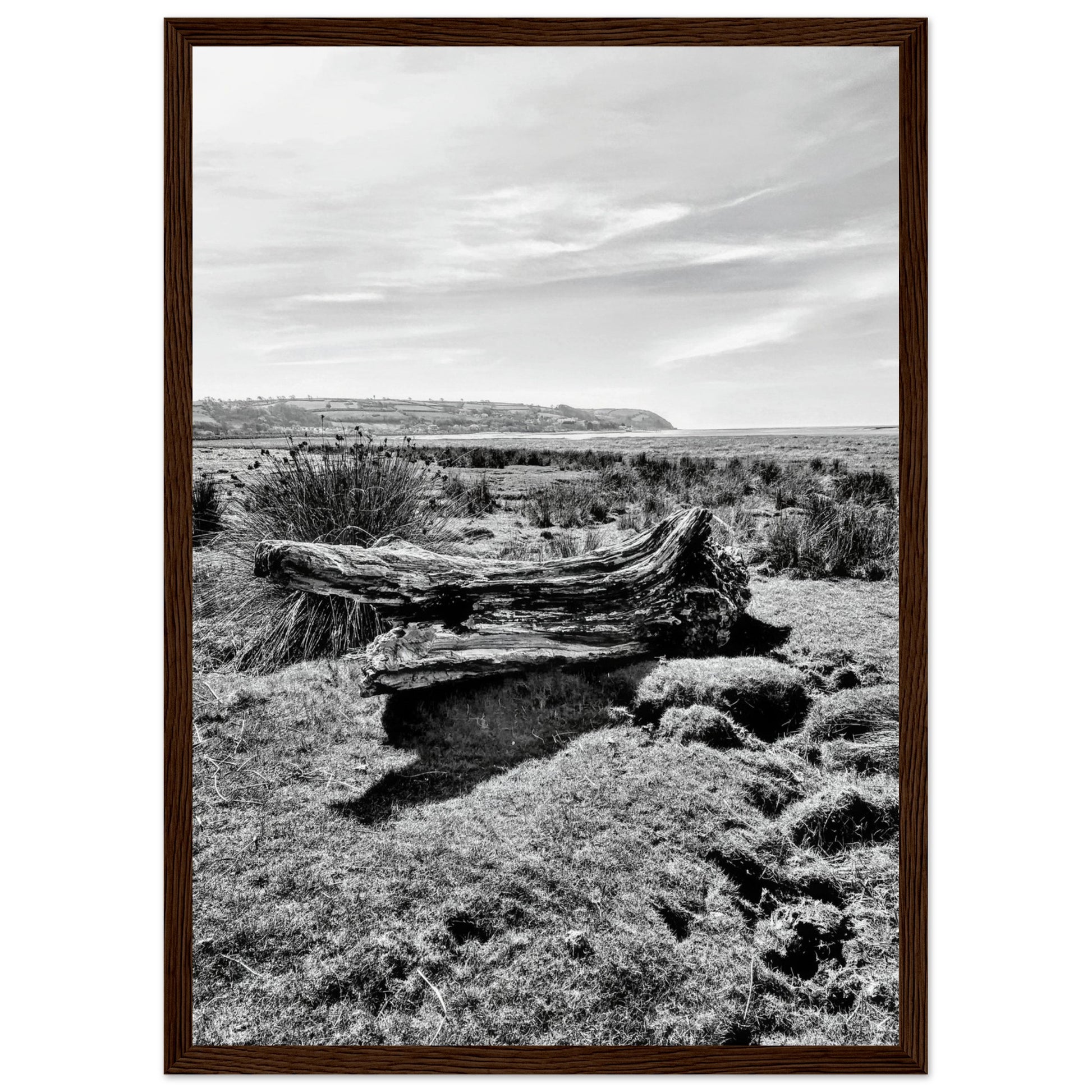 2c509402-42b9-42b3-a5aa-253a28824f39