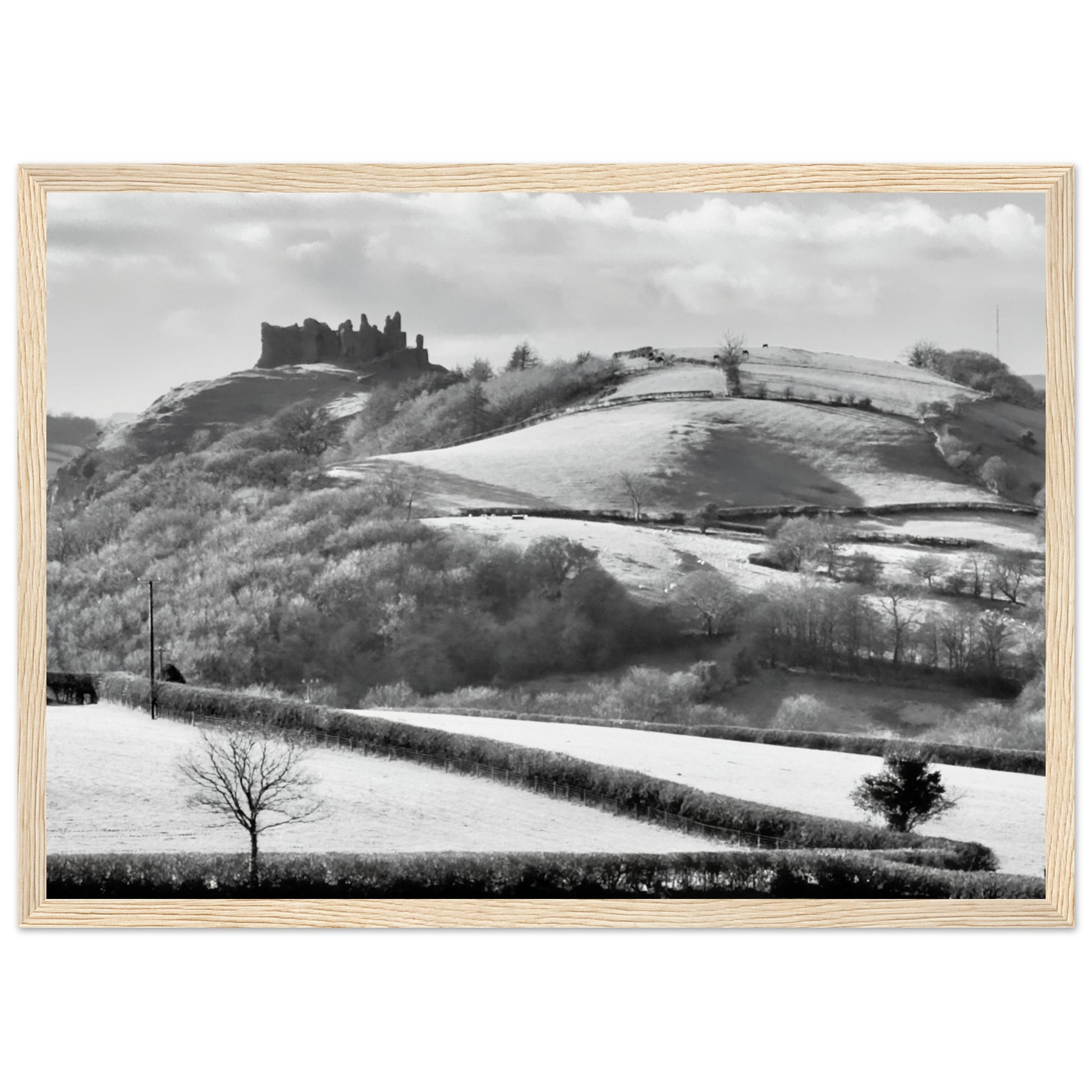 2d0bc4cc-dd8b-4855-8ec8-ccc8c31e8313