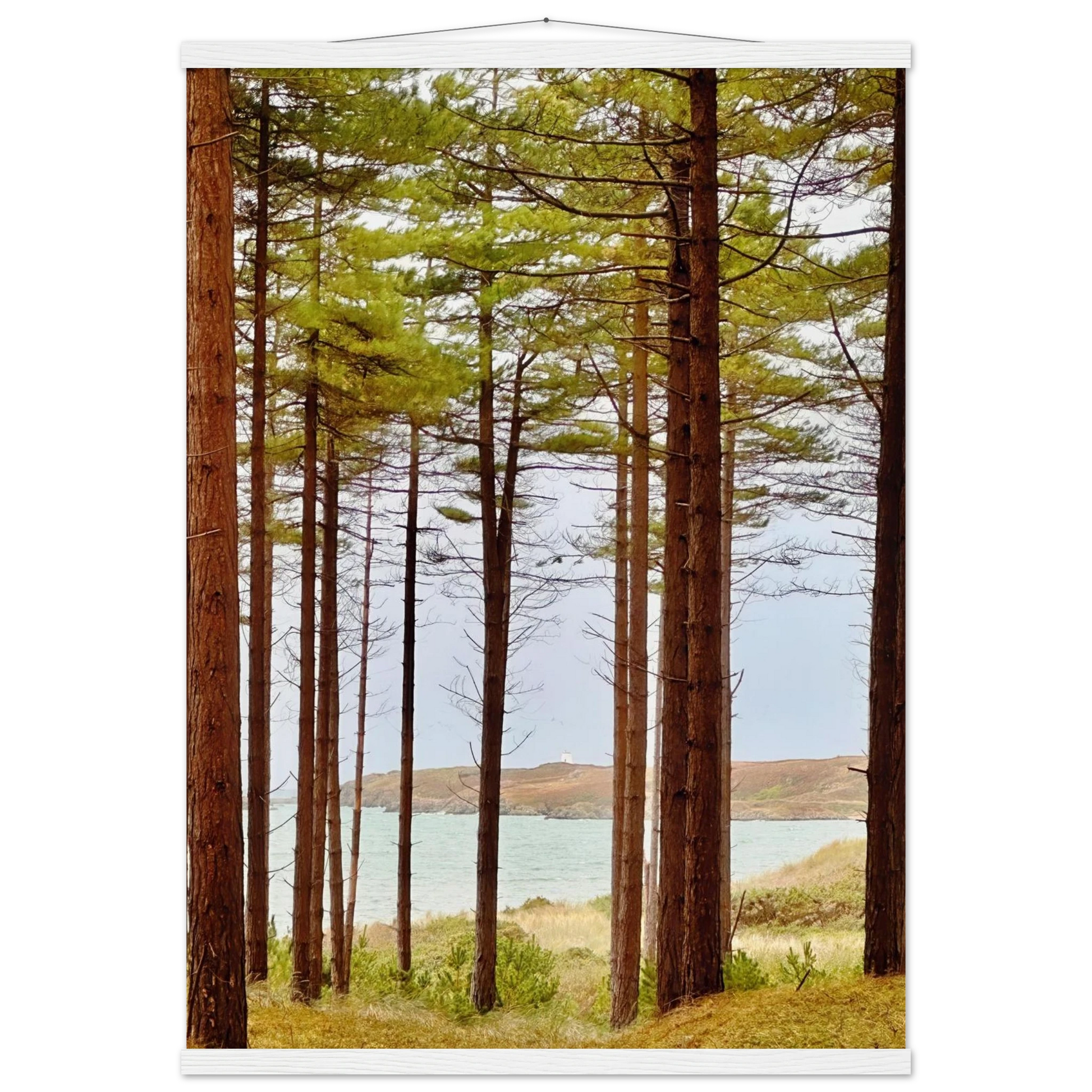 30323712-9ee2-4c81-a8a5-ed54c9125a5d