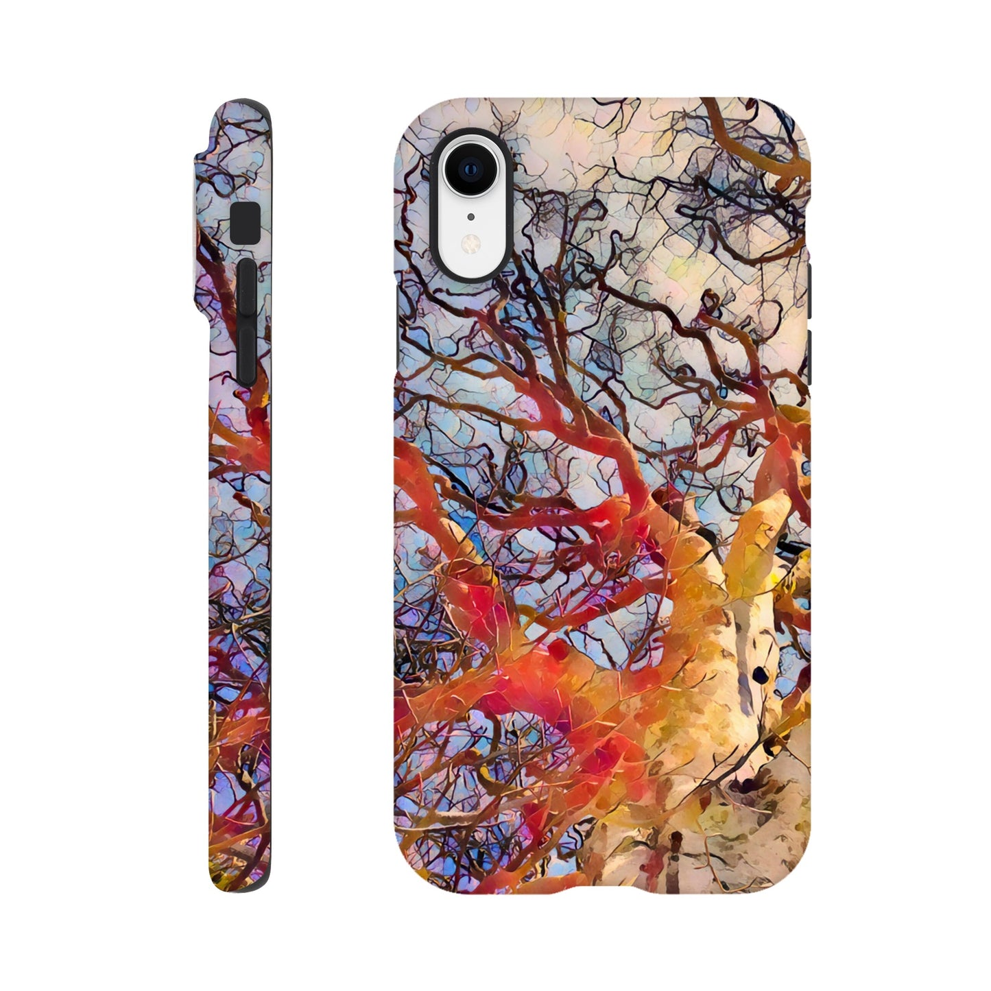 307d731f-50b6-4c4b-9ff7-b8686611e427