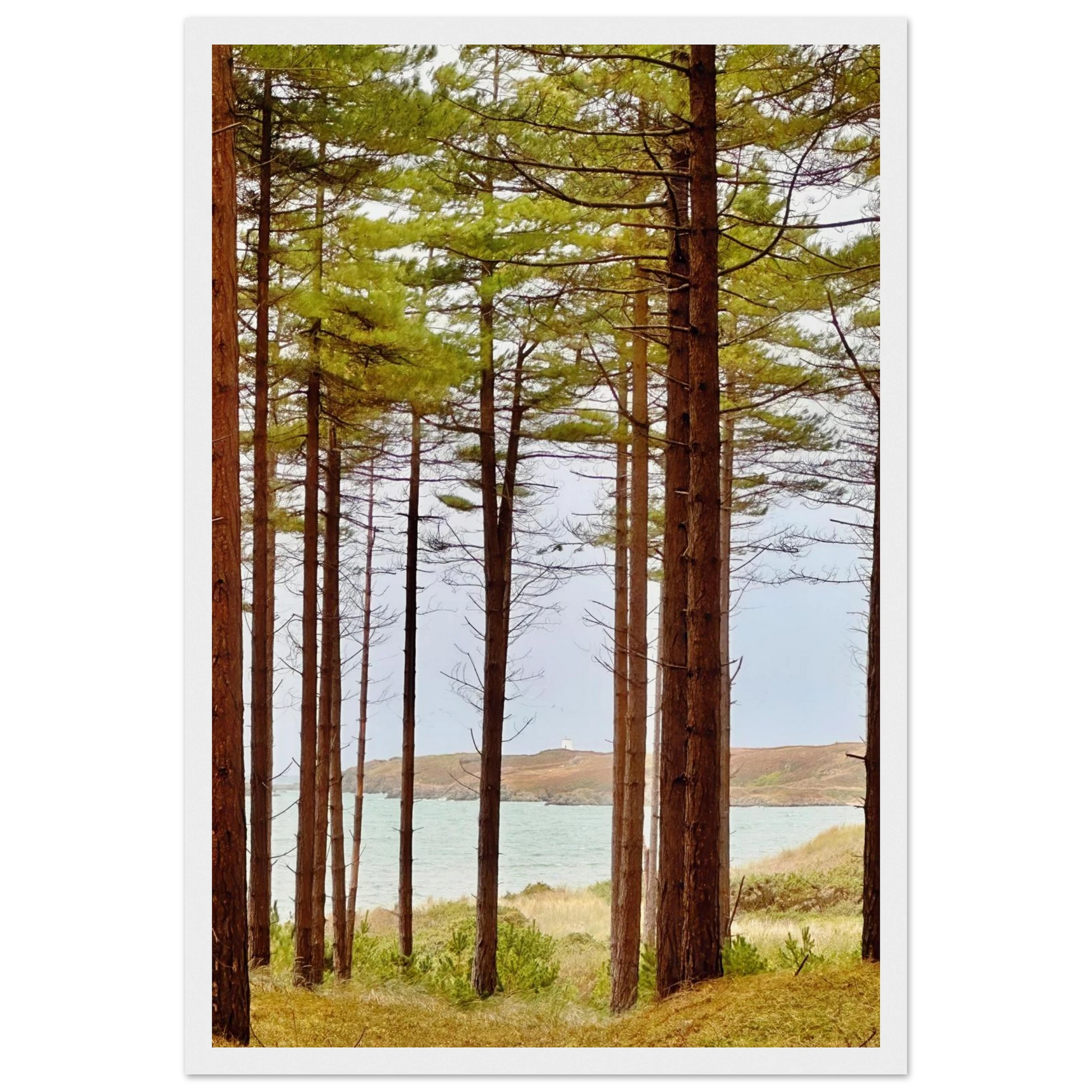 33ccd01a-96bf-494e-bc0c-a4b26208f07f