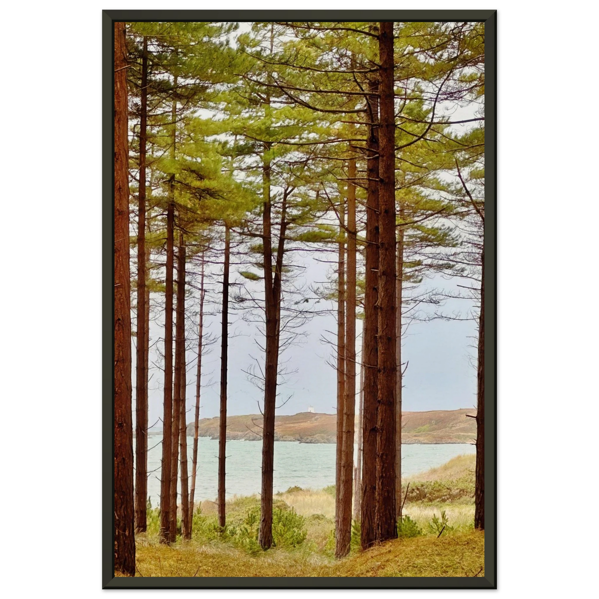 34becd30-5542-4dcb-a3b6-fb49aa13f263