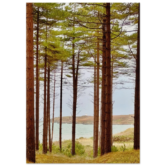 36048fbd-5e90-4d27-9ba2-b6c74ee64175