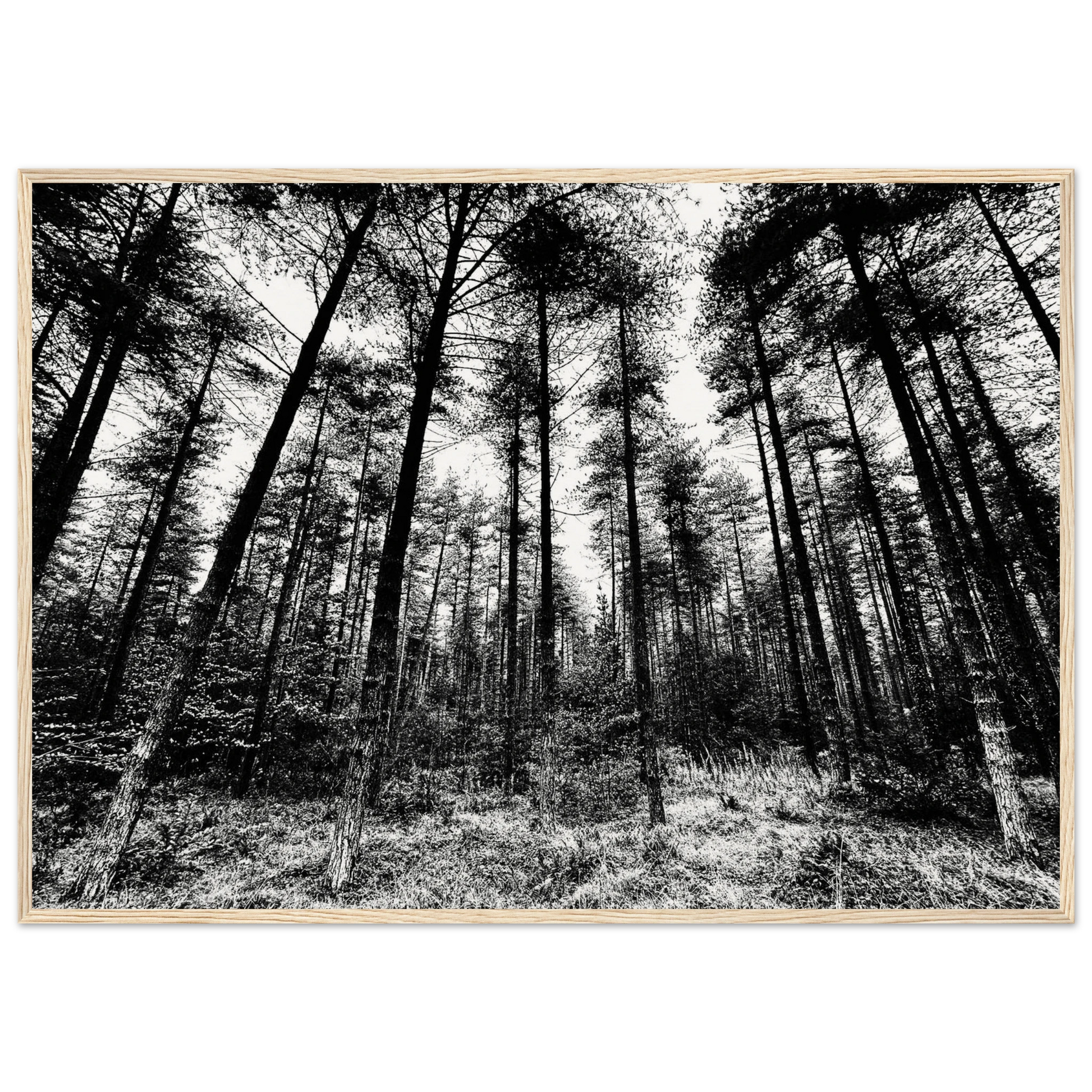 398b0e09-168b-4b61-bf93-ff8ce9962307