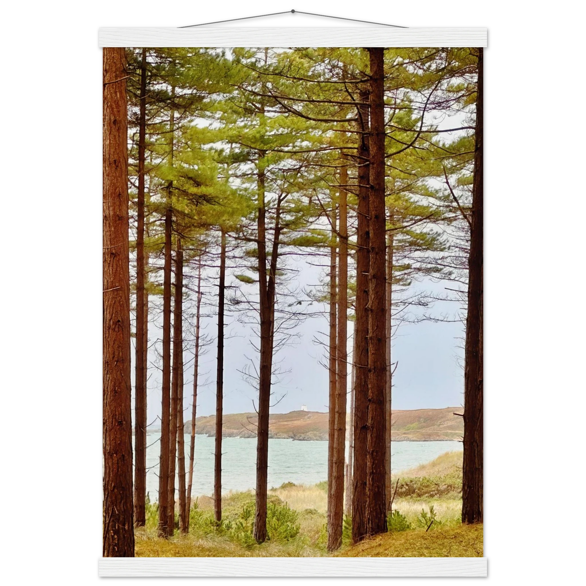 3b76f03e-6183-457f-90ab-bb723008db9f